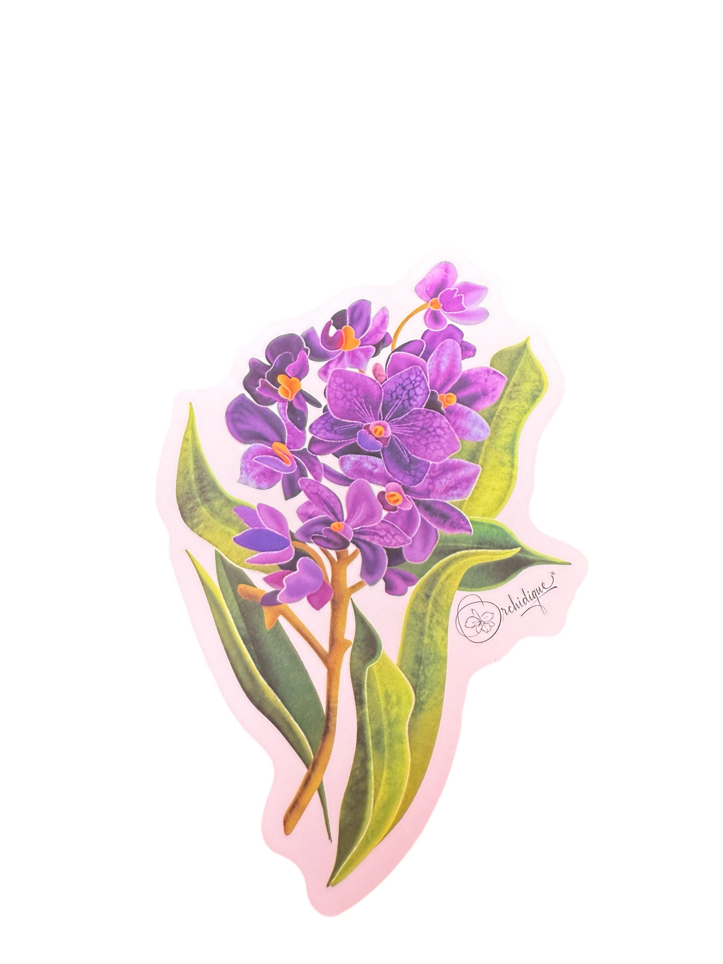 Purple Ascda Vanda Sticker