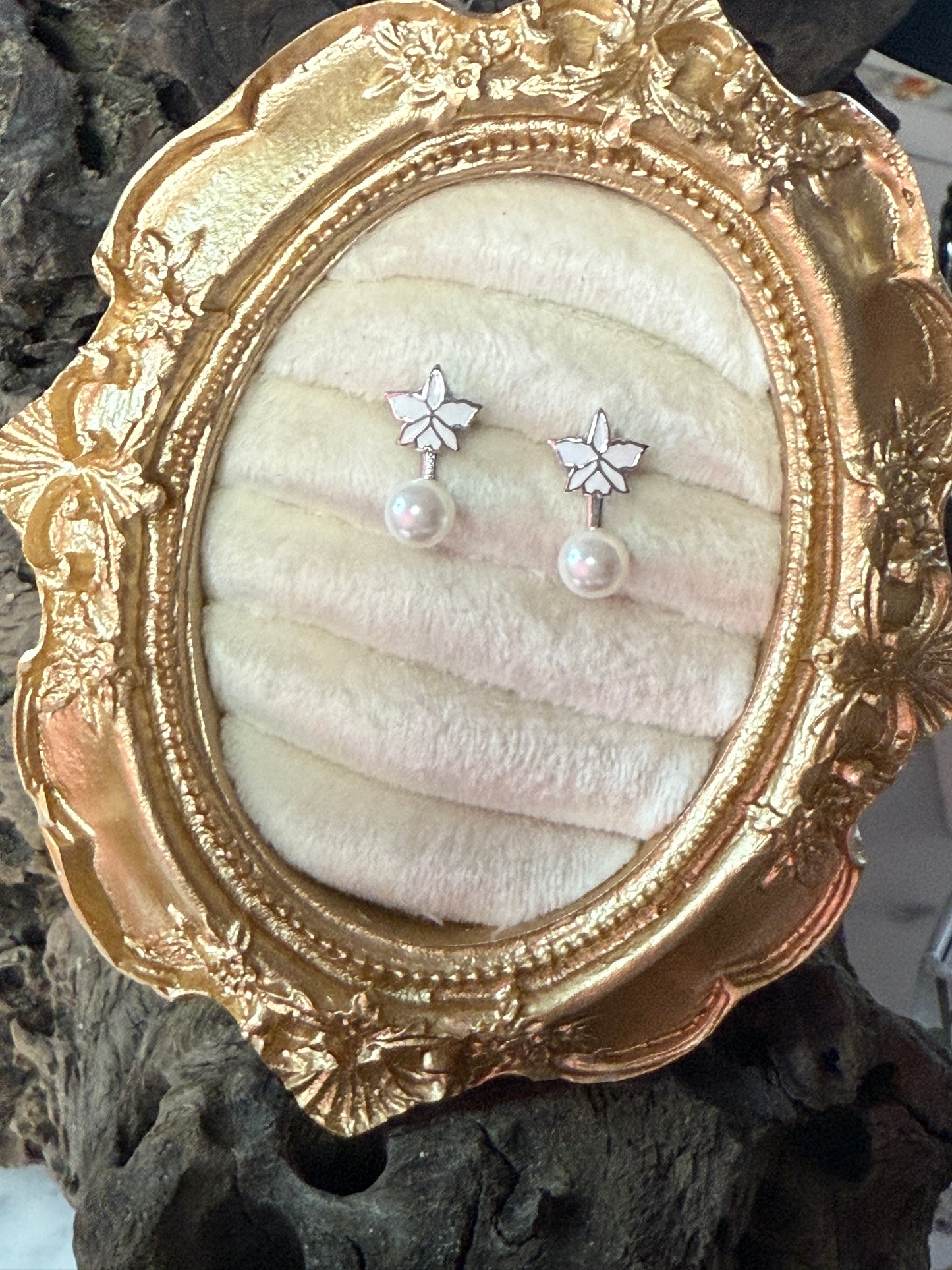 Signature White Cattleya Earrings, Pearl Jacket Stud: 14k White Gold Plated, White Pearl Jacket