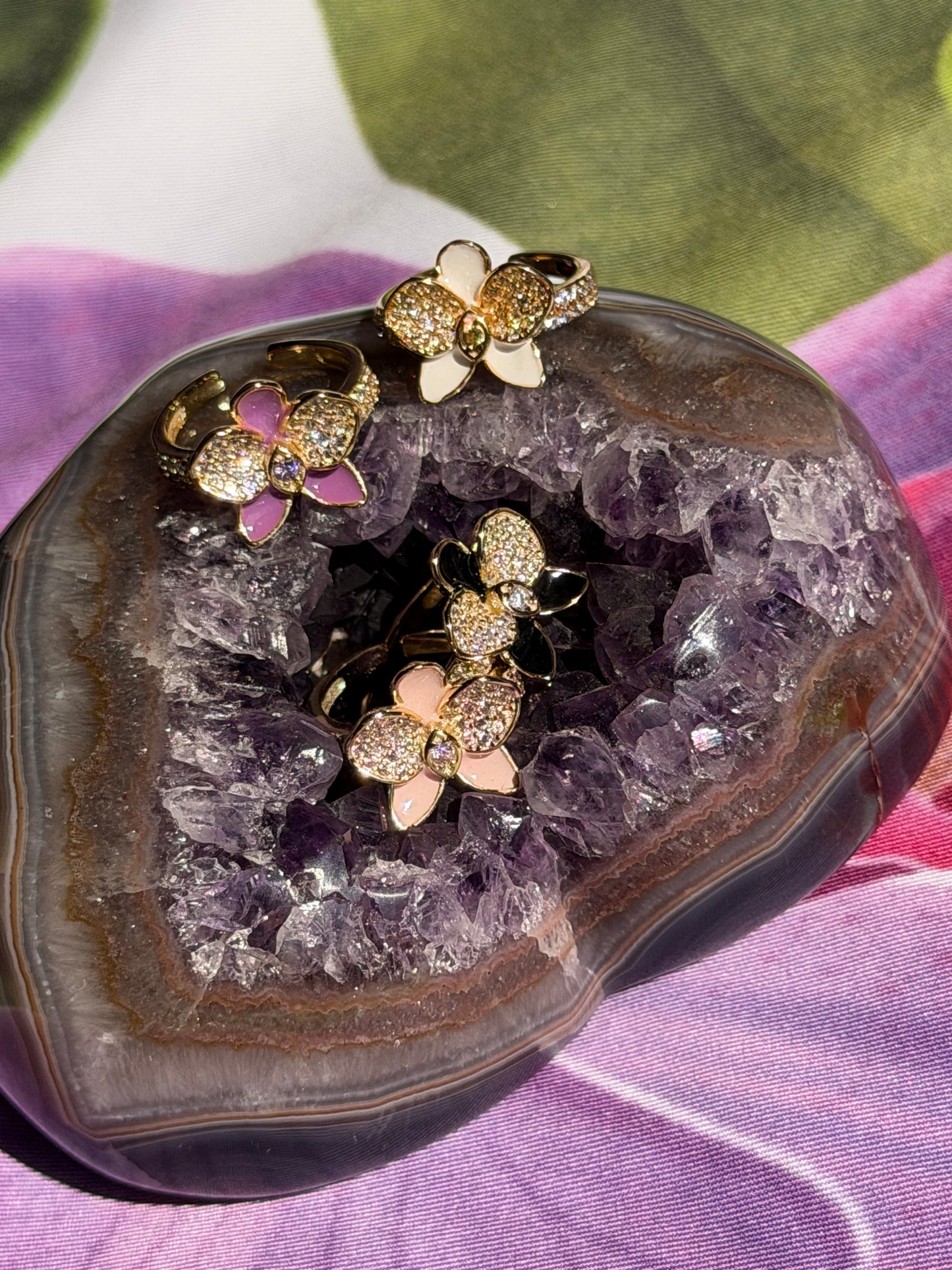 Whispers Glow Collection : White - Yellow Zircons Phalaenopsis Orchid Set - Orchidique