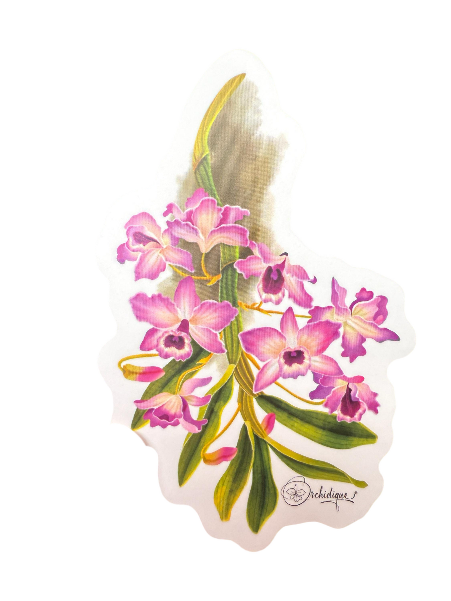 Dendrobium Nobile Sticker