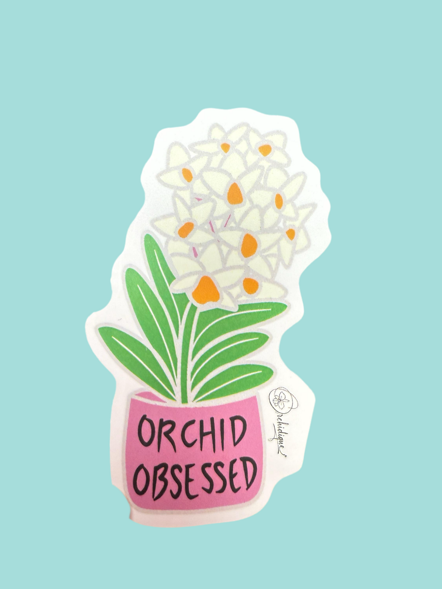 Orchid Mama Lover Pack • Dendrobium thyrsiflorum • Dendrophylax lindenii • Purple& Pink Vandas • Cattleya Violecea • Orchid Lover Gift