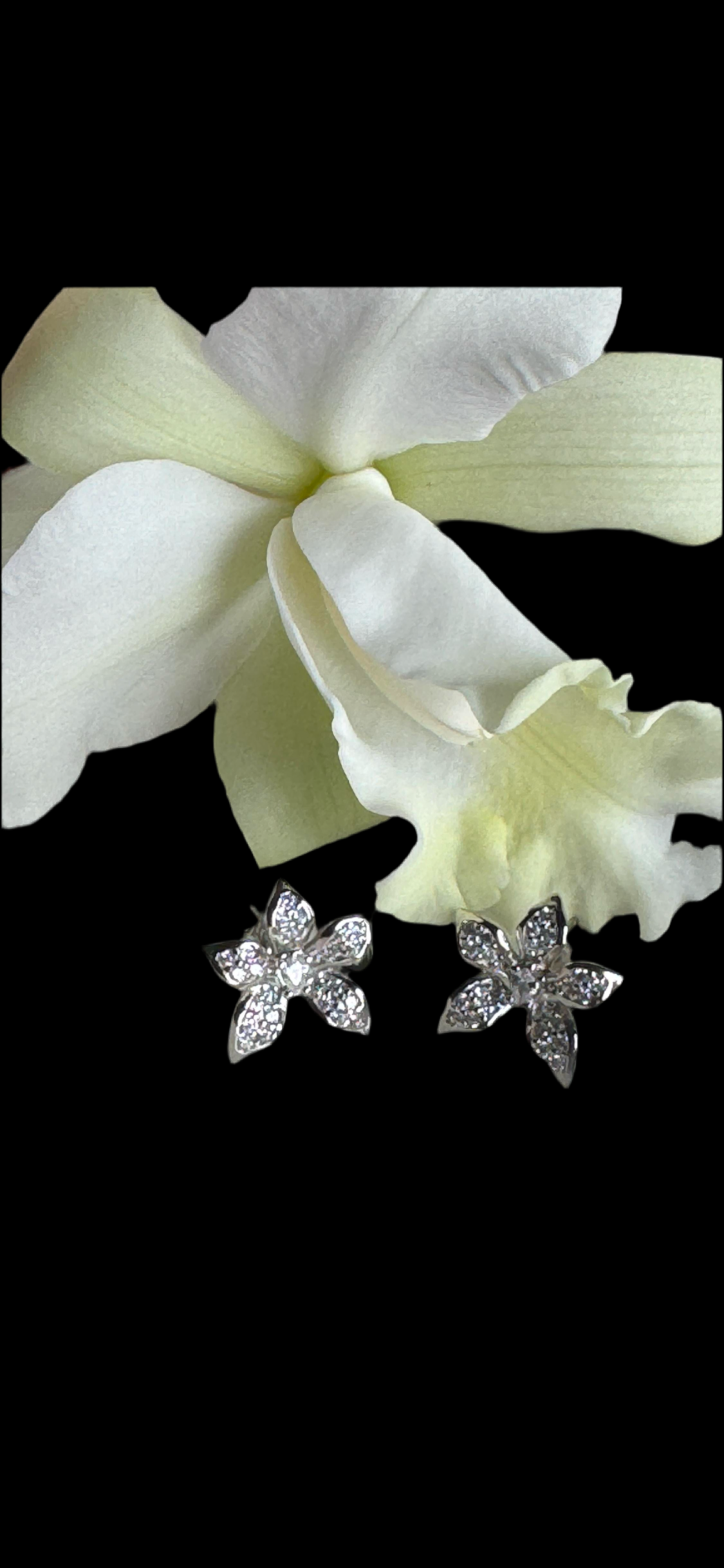 La Brillosa Cattleya Collection: Orchid Stud Earrings - Orchidique