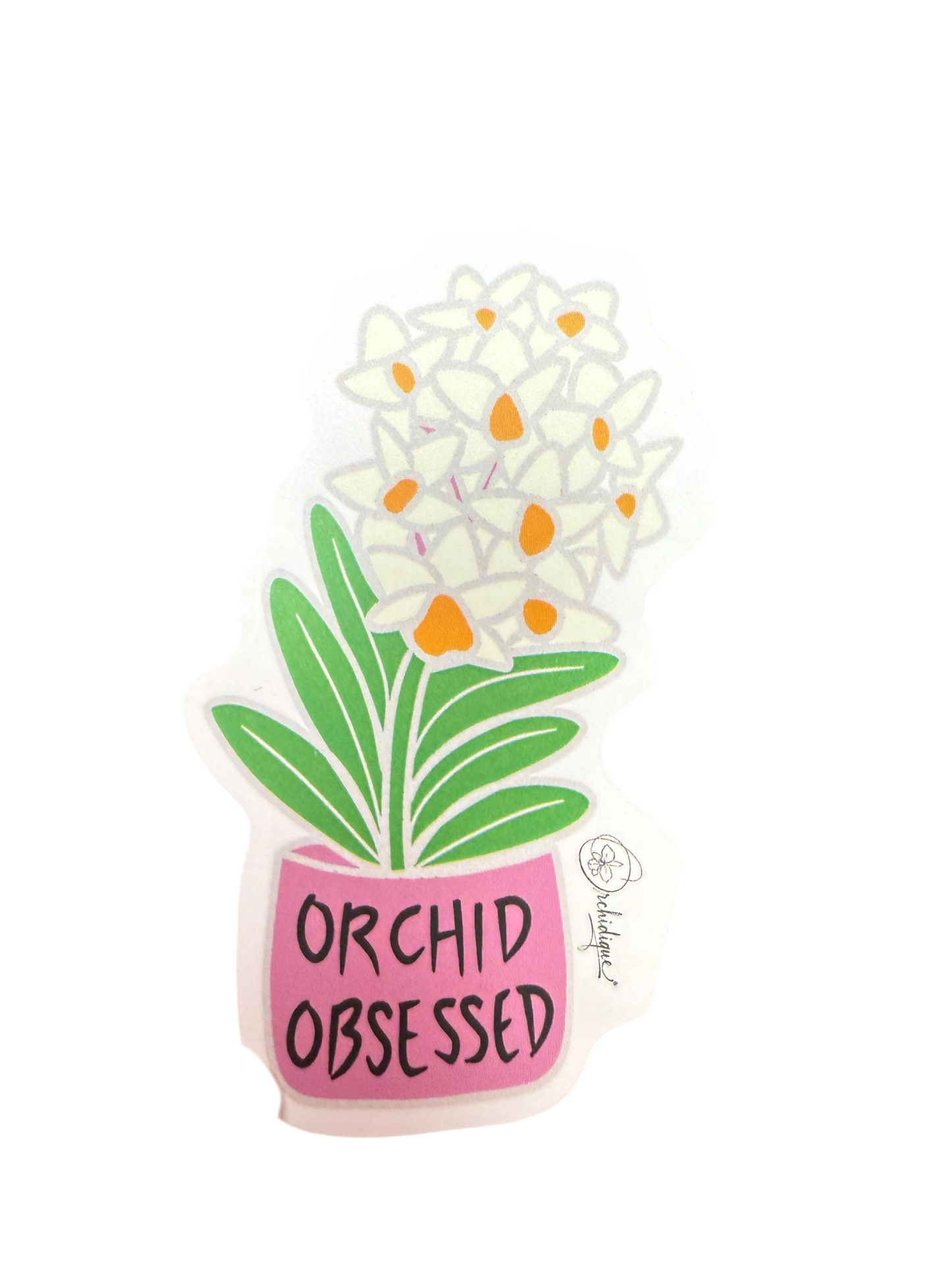 Orchid Mama Lover Pack • Dendrobium thyrsiflorum • Dendrophylax lindenii • Purple& Pink Vandas • Cattleya Violecea • Orchid Lover Gift