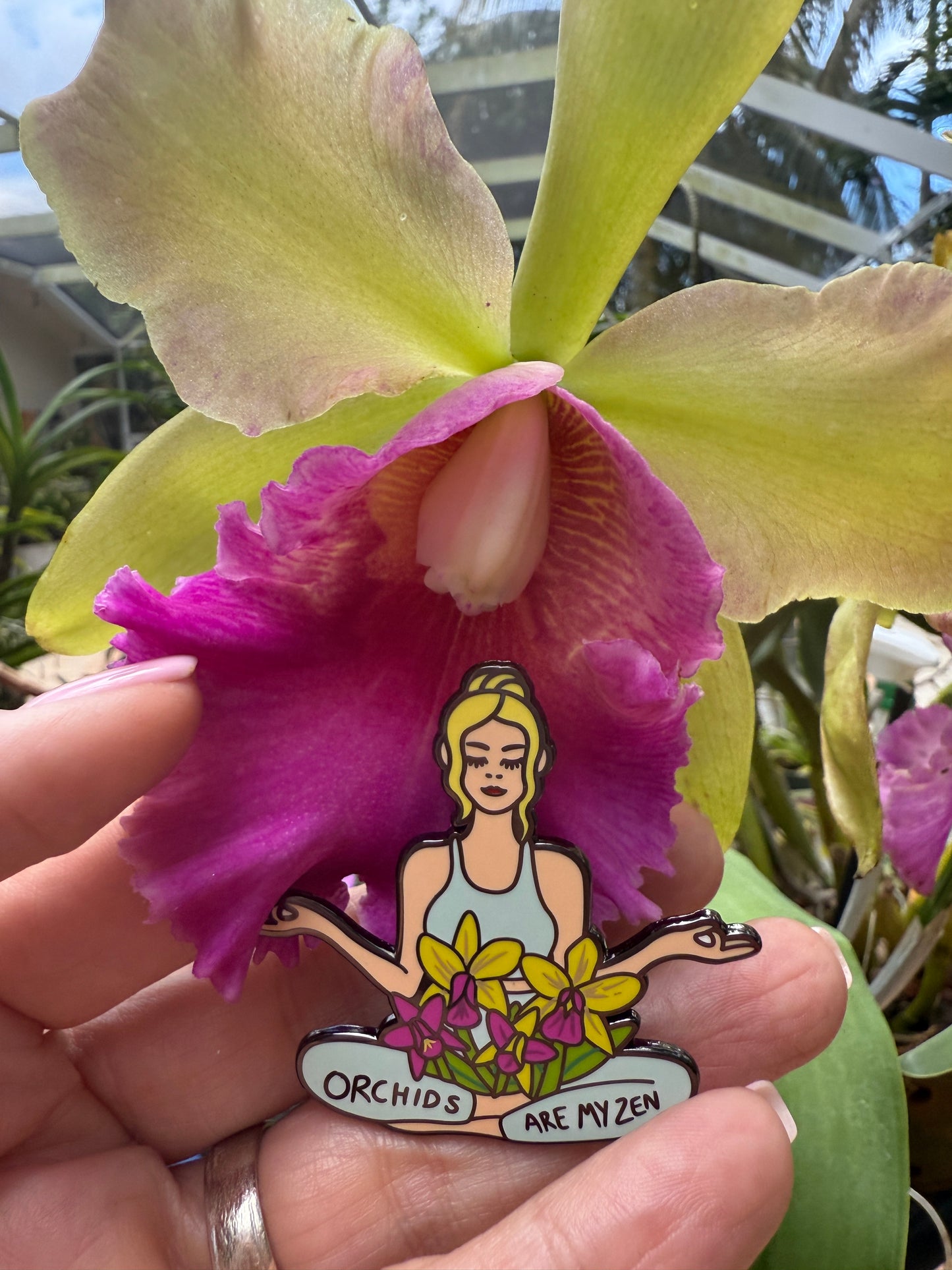 Orchids are my Zen Blonde or Brunette