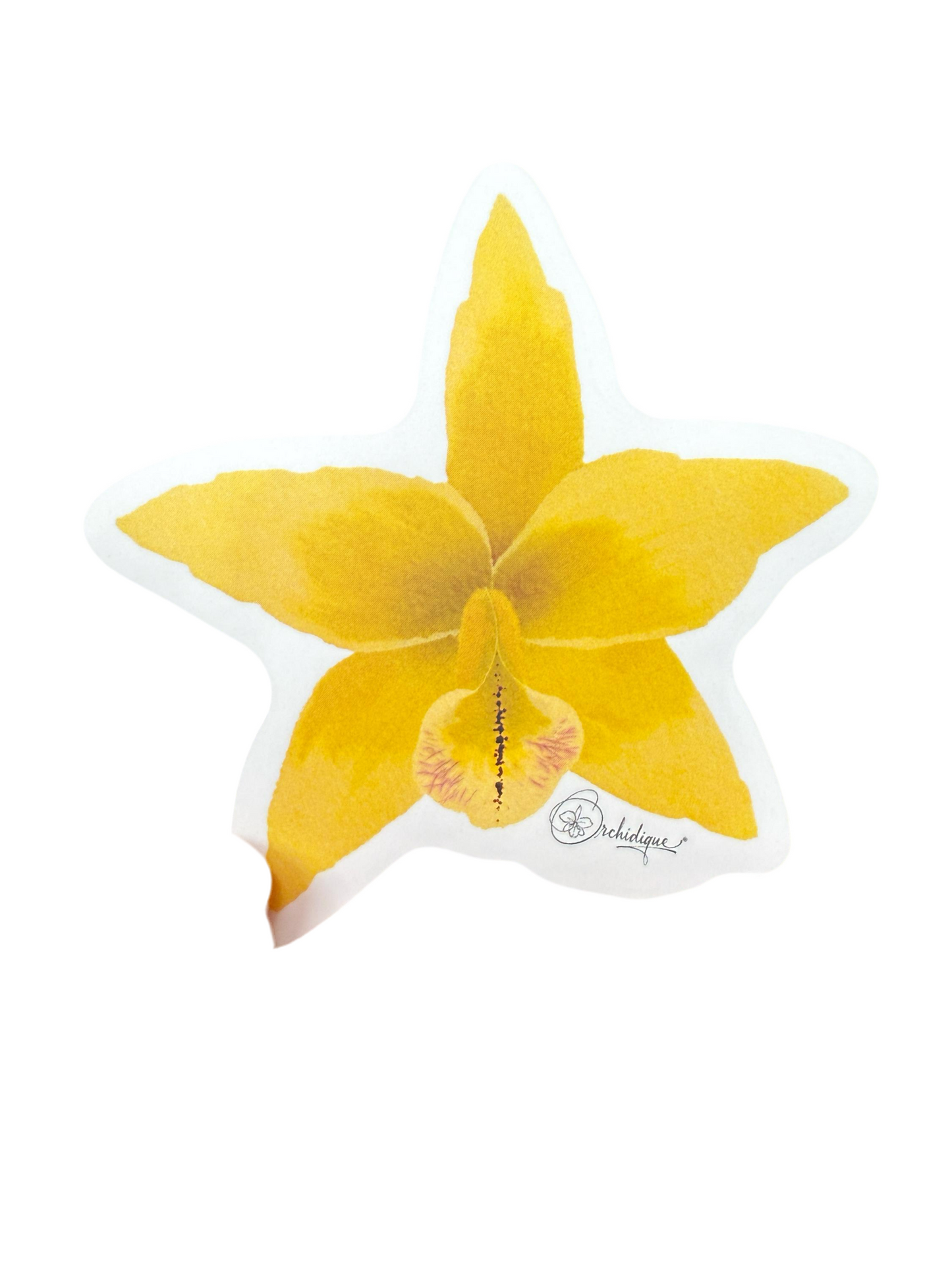 Cattleya Yellow Star Sticker