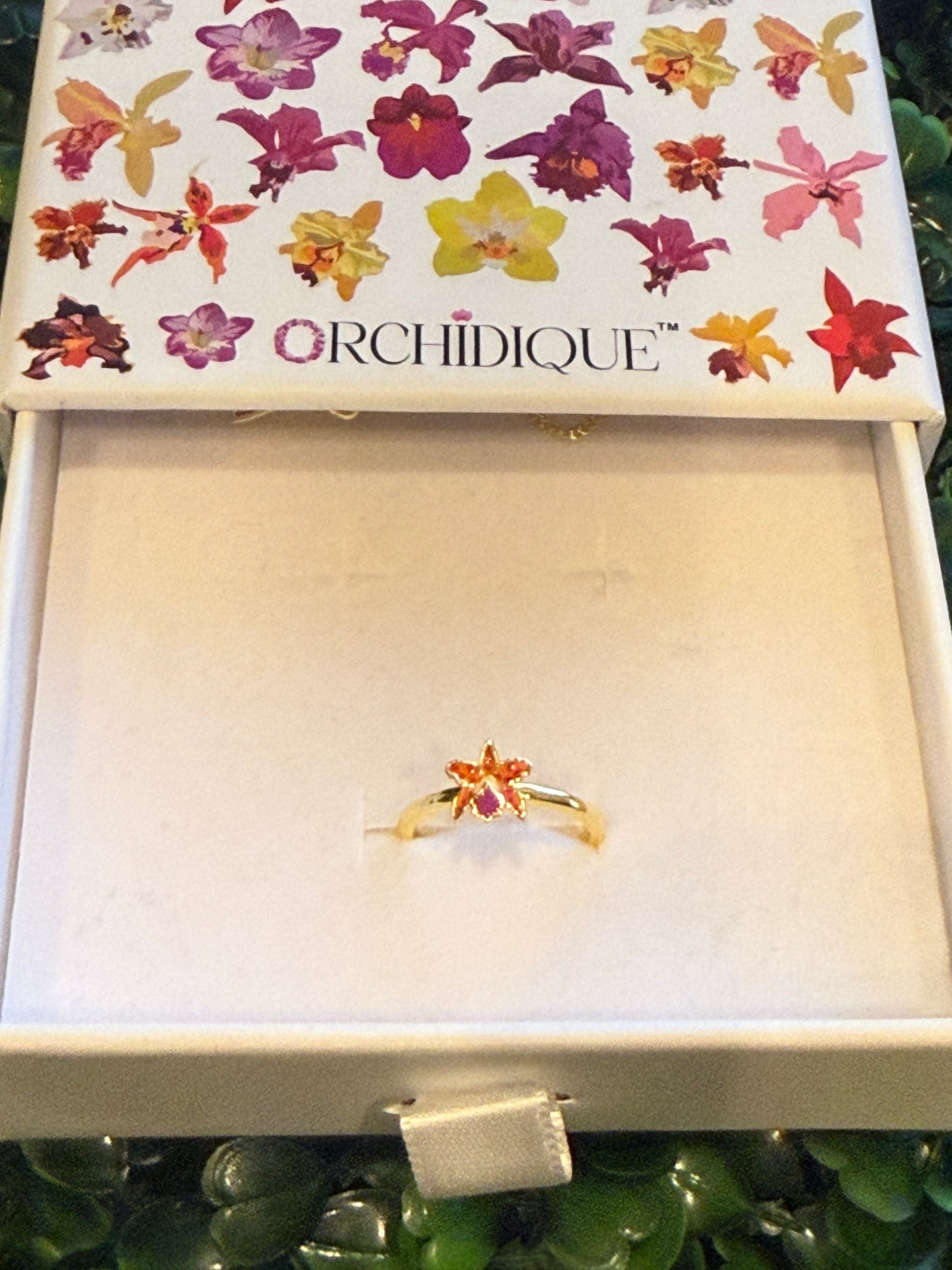 La Colombiana Collection: Rhynchomyrmeleya SunCoast Love Orchid Jewelry Set