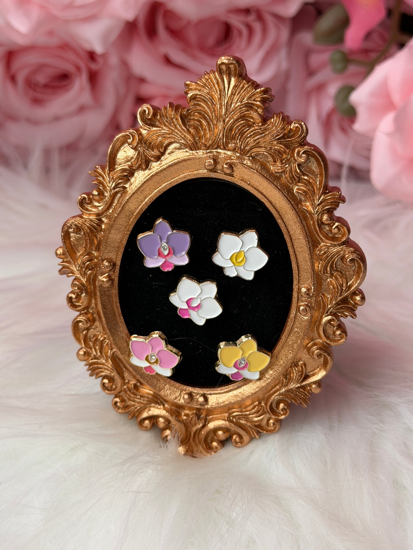 Mini Phal Cutie Orchid Pin Collection - Orchidique