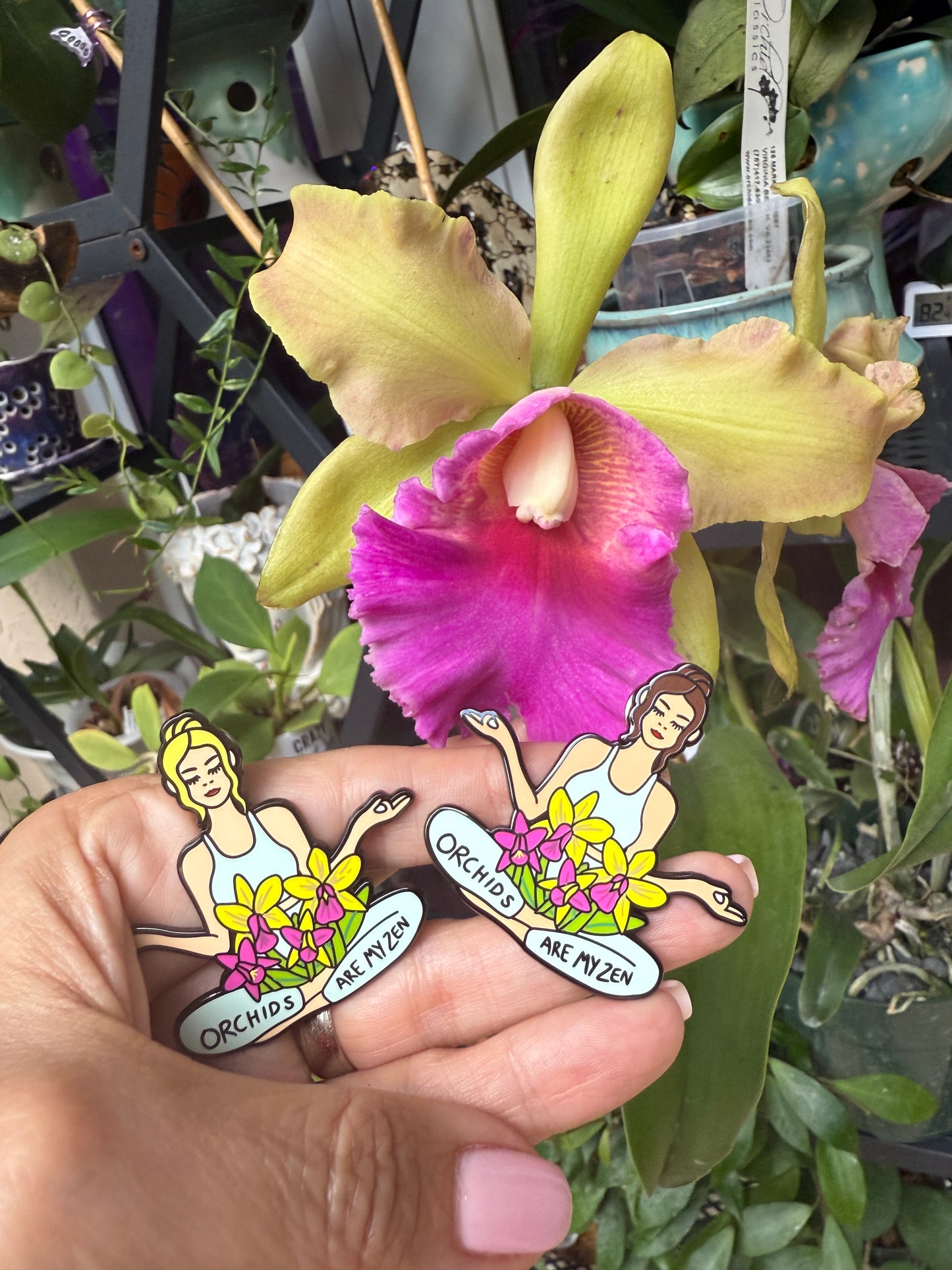 Orchids are my Zen Blonde or Brunette