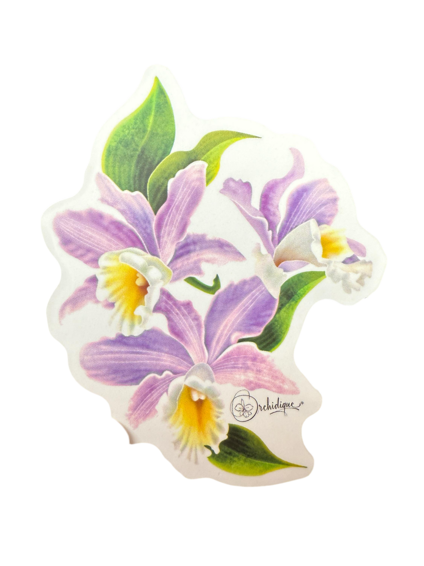 Brassolaeliacattleya Sticker