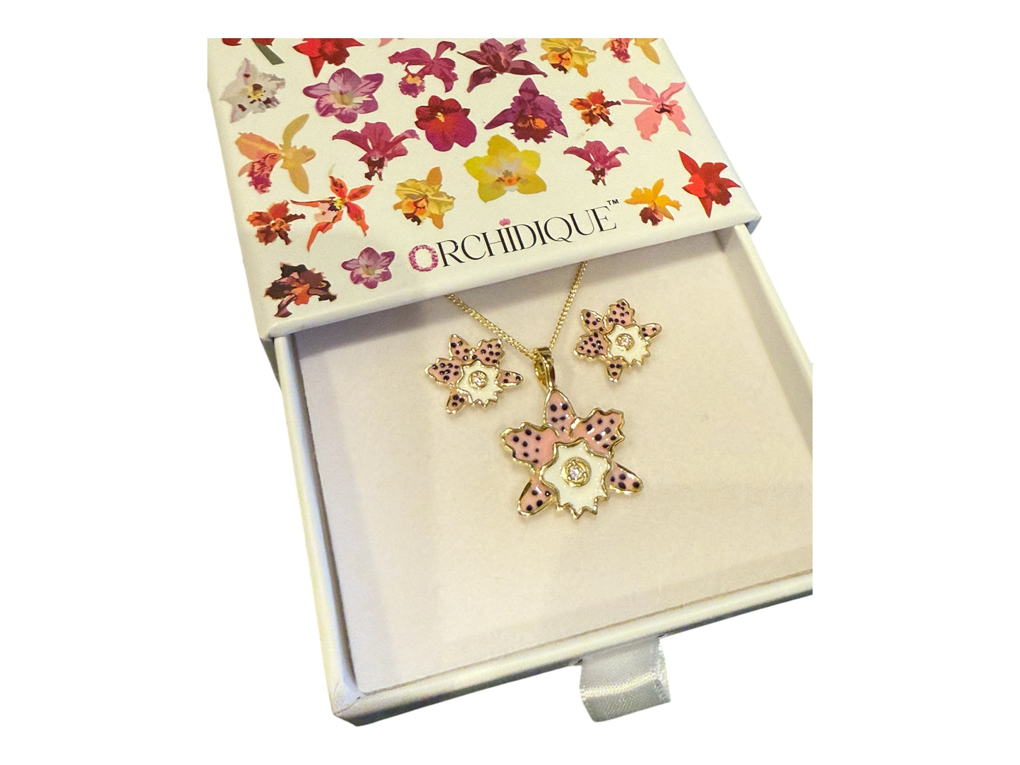 Rhyncholaeliocattleya (RLC) Collection: Pastel Pink Spotted Cattleya Orchid Set