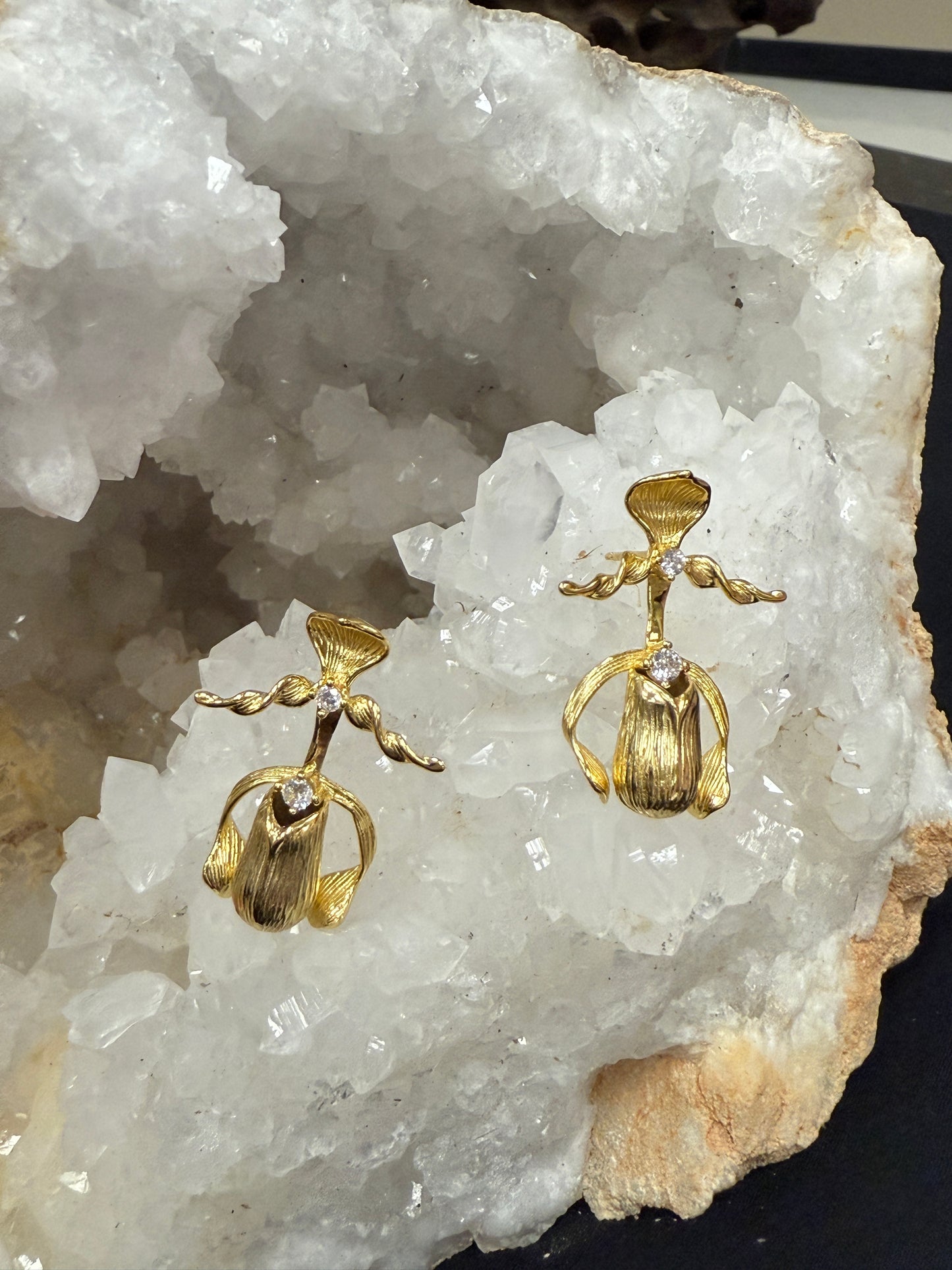 Lady Slipper Collection: Paphiopedilum Gold - Orchidique