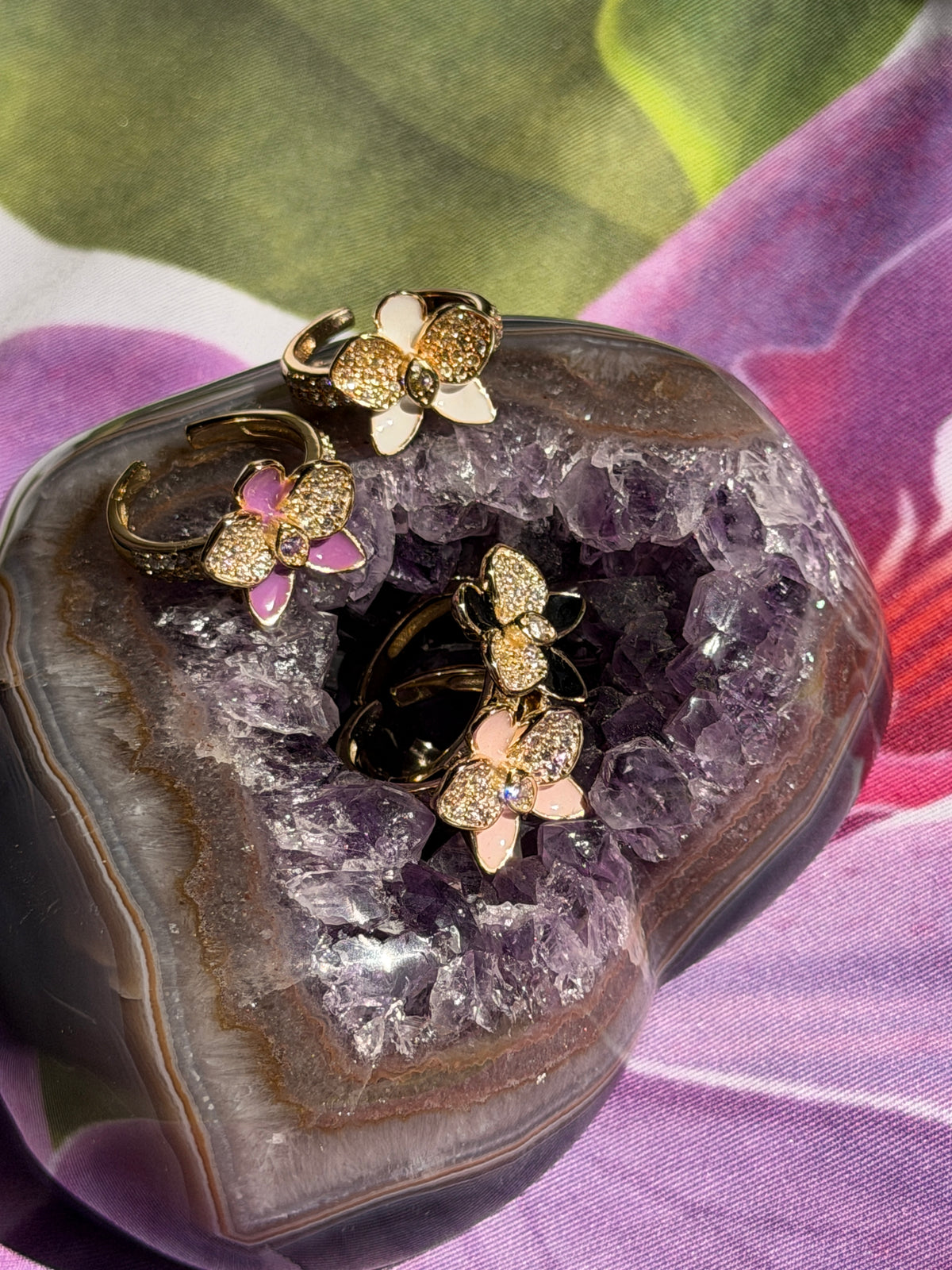 Whispers Glow Collection : White - Yellow Zircons Phalaenopsis Orchid Set - Orchidique