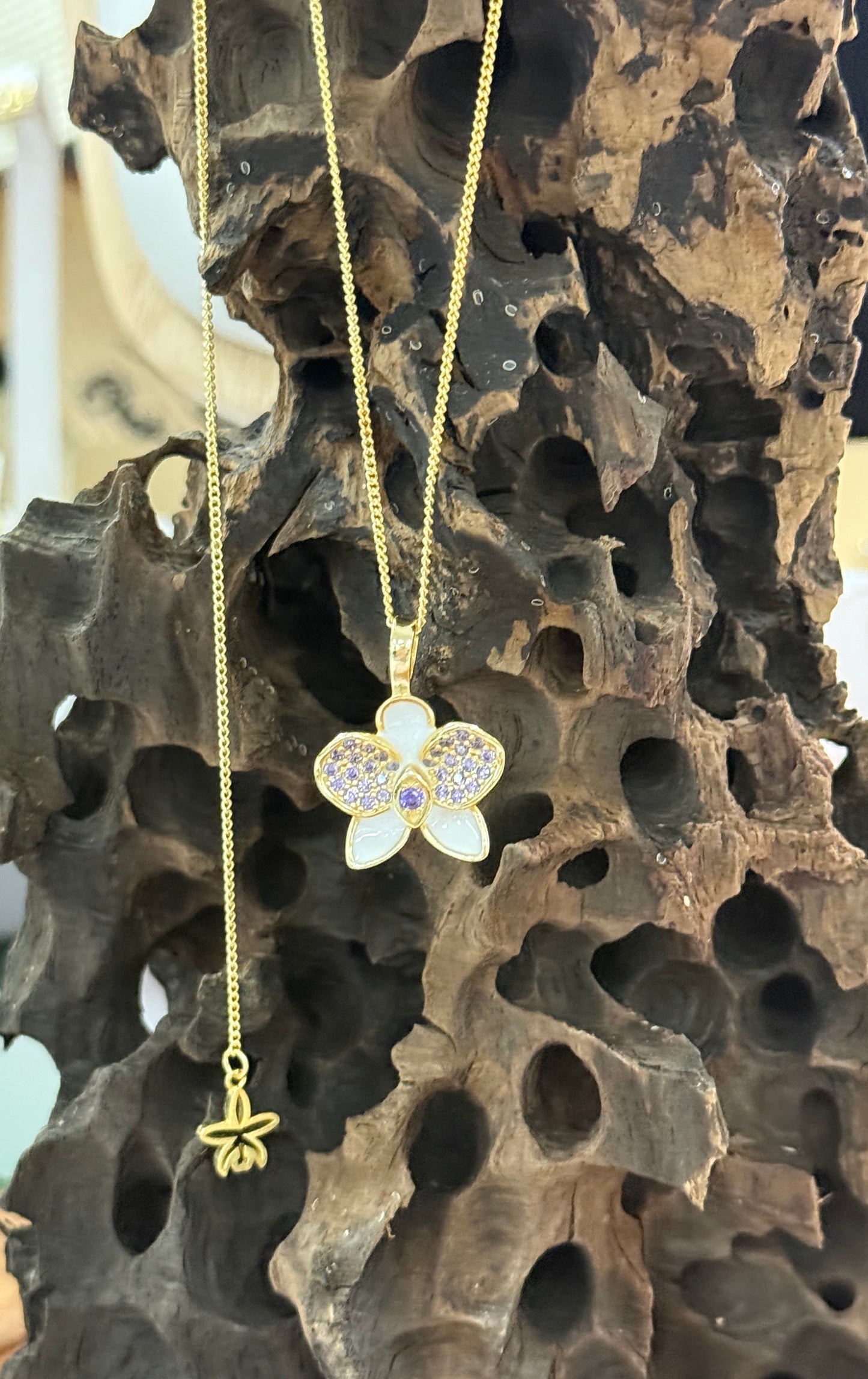 Whispers Glow Collection : White Phalaenopsis Orchid Set