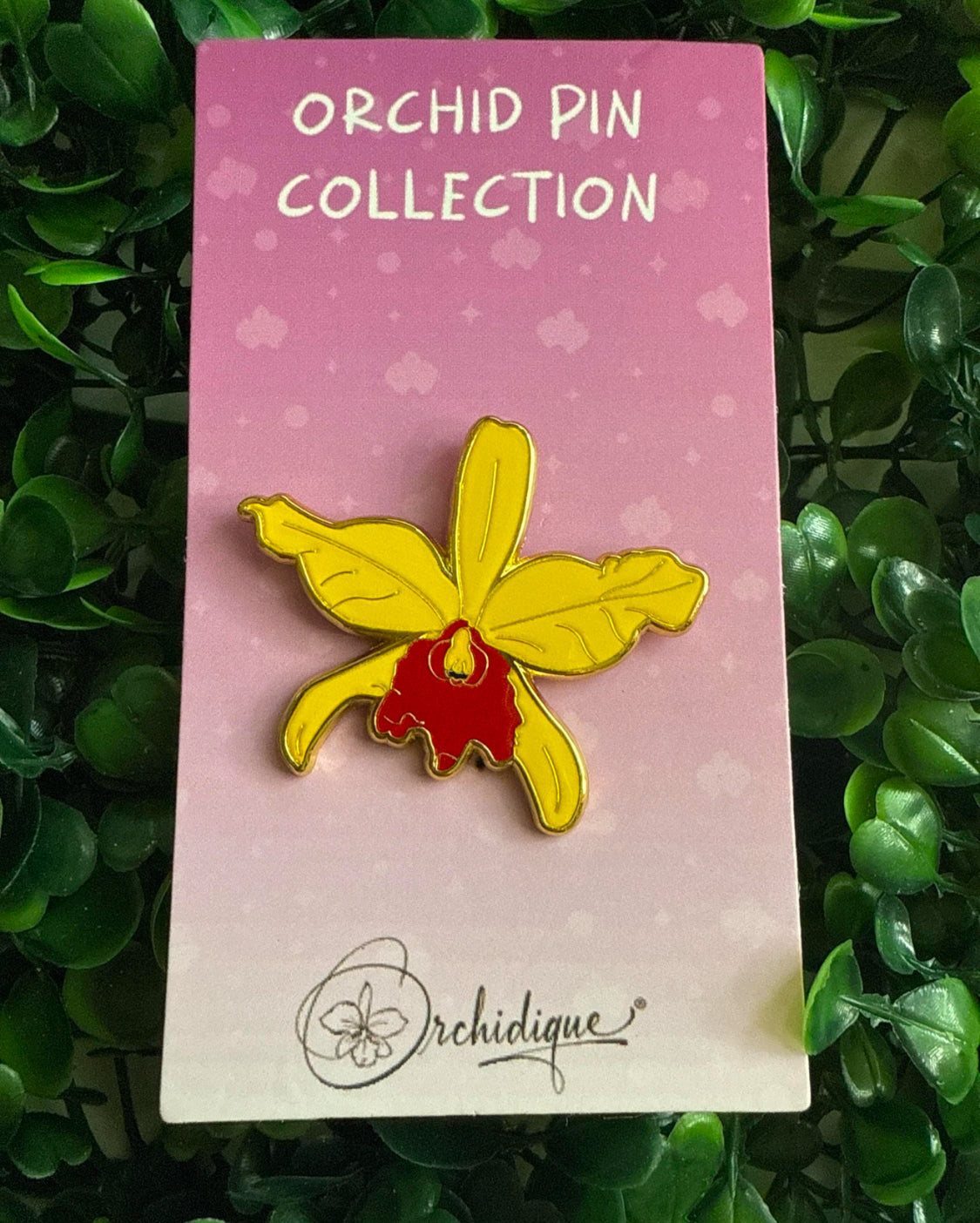 Cattleya Jenmanii-inspired Orchid Flower Enamel Pin