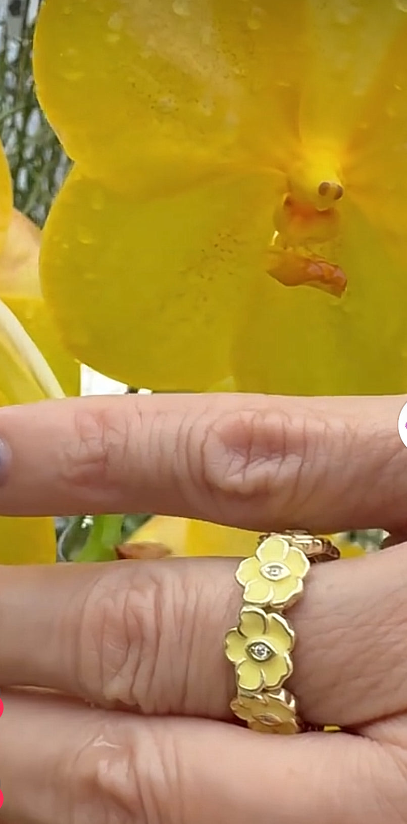 The Vanda Ring Collection : Vanda Orchid Rings