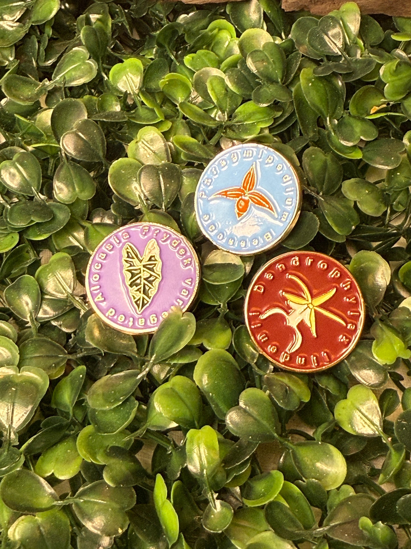 Alocasia Frydek-inspired Enamel Pin