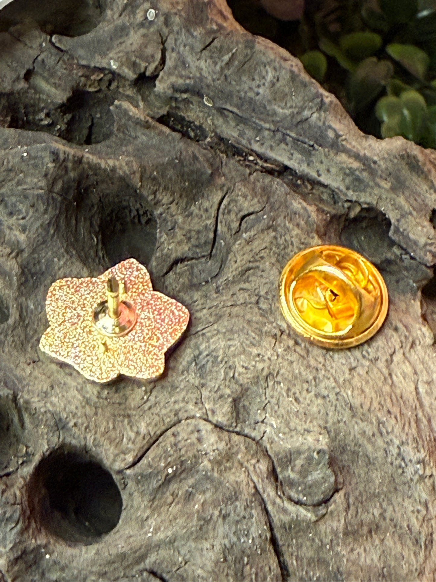 Mini Phal Cutie Orchid Pin Collection