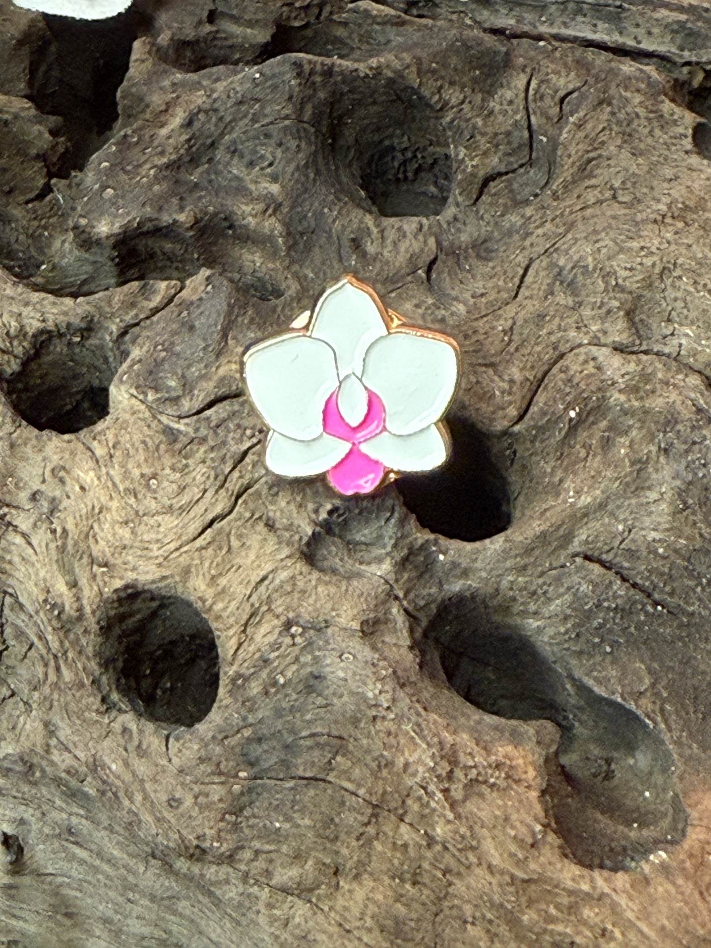 Mini Phal Cutie Orchid Pin Collection