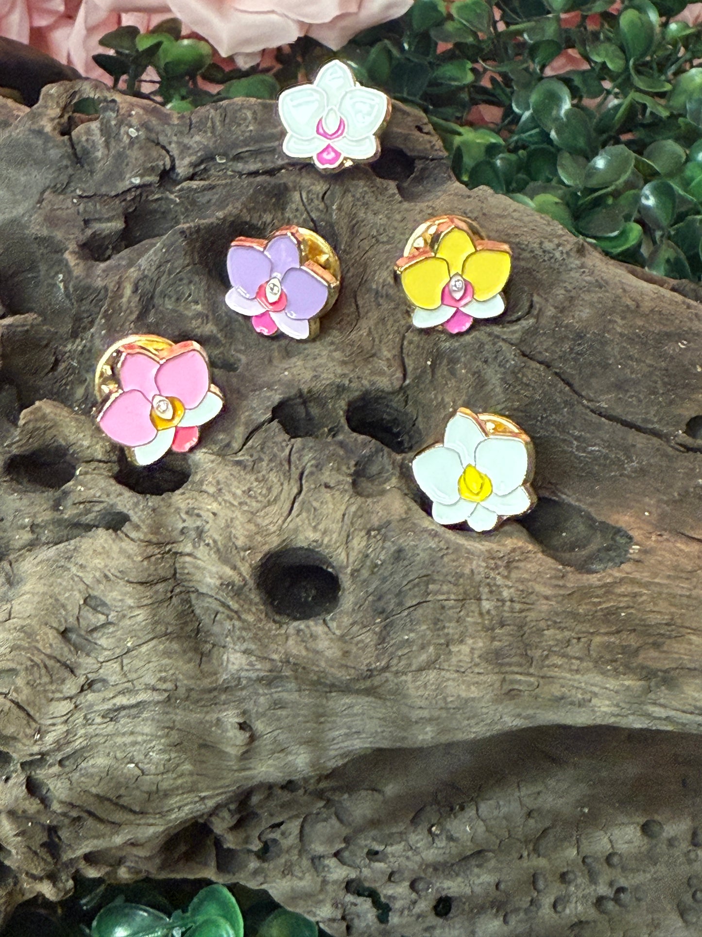 Mini Phal Cutie Orchid Pin Collection