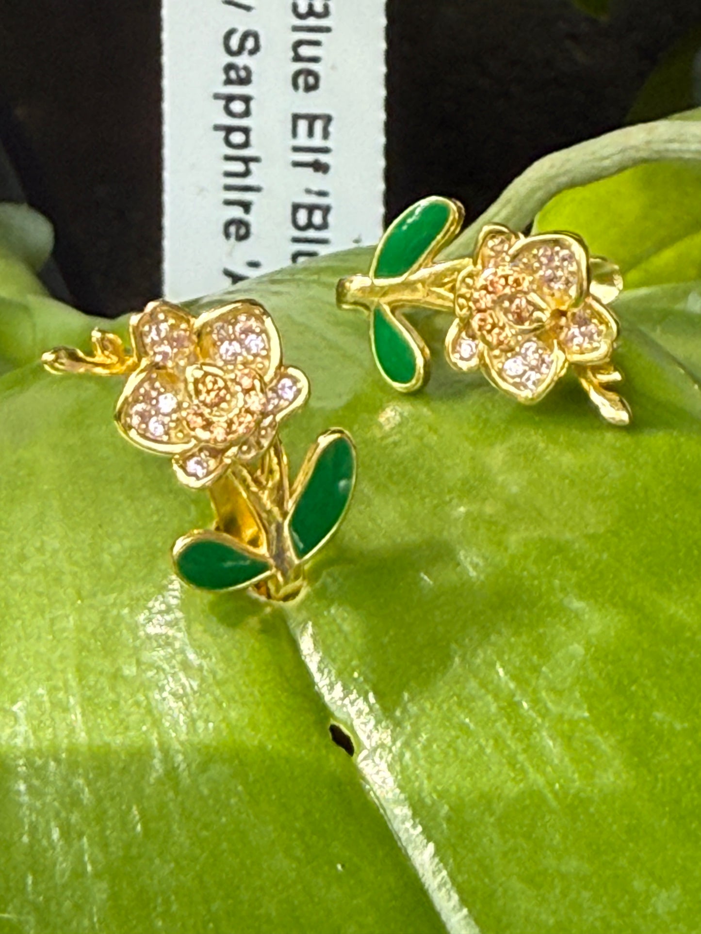 Falena Orchid Collection: Phalaenopsis Orchid Earrings with Leaf