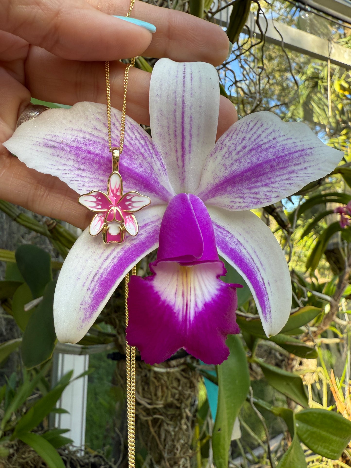 Violecea Collection: Semi Alba Cattleya Violecea Rubrea -inspired Jewelry