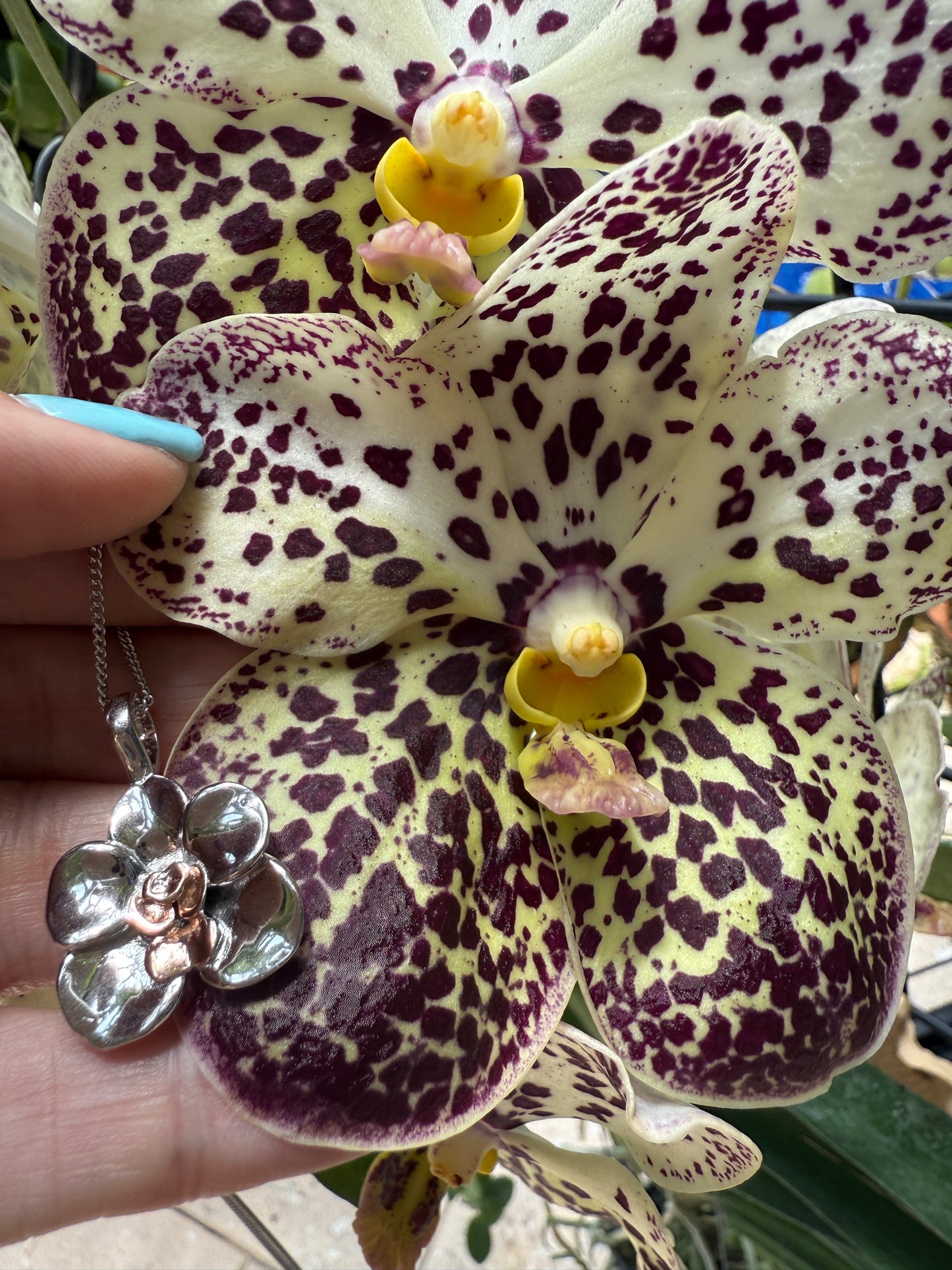 Vanda Heart Collection • Two- Tone Jewelry • Orchid Jewelry