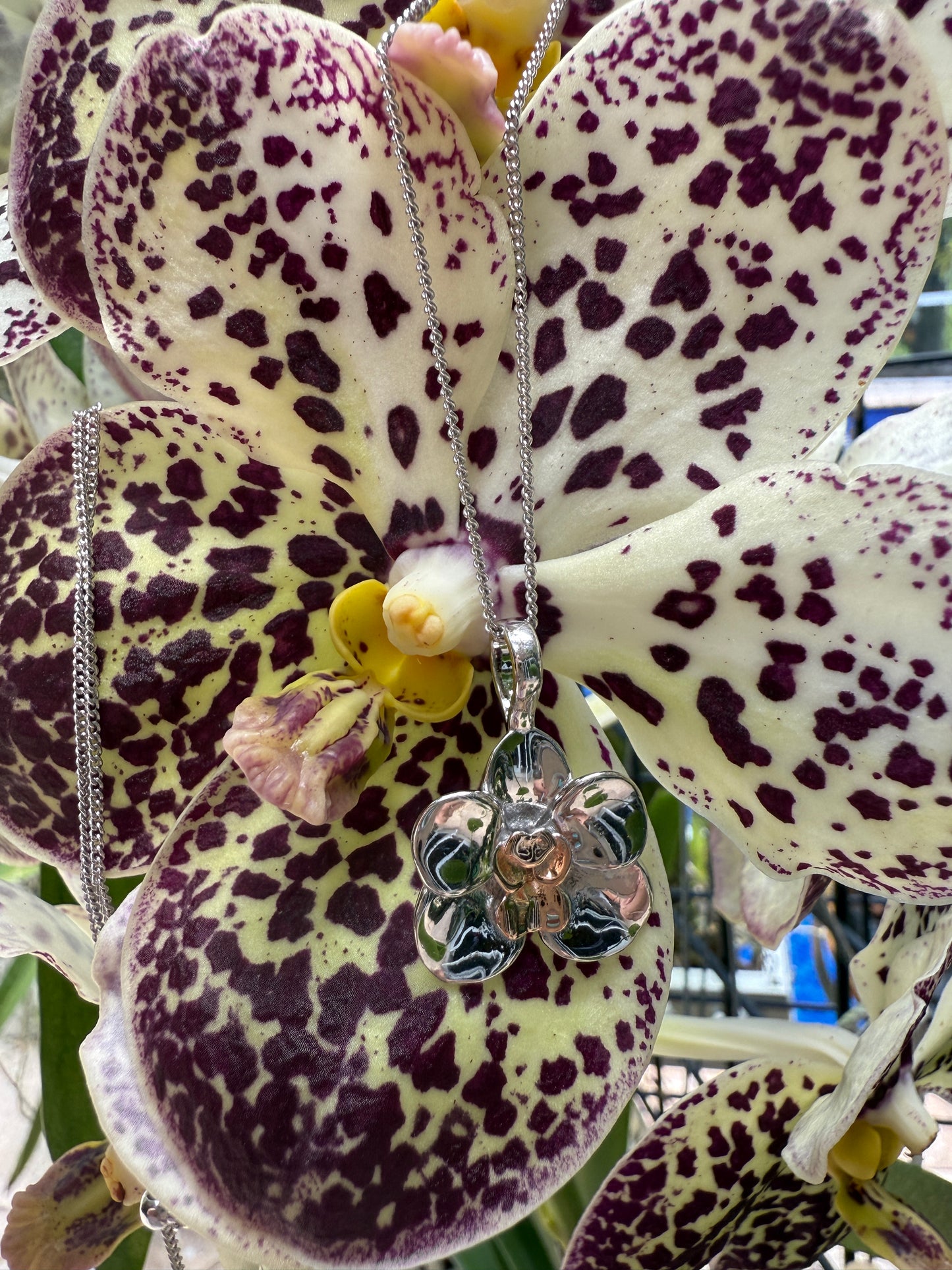 Vanda Heart Collection • Two- Tone Jewelry • Orchid Jewelry