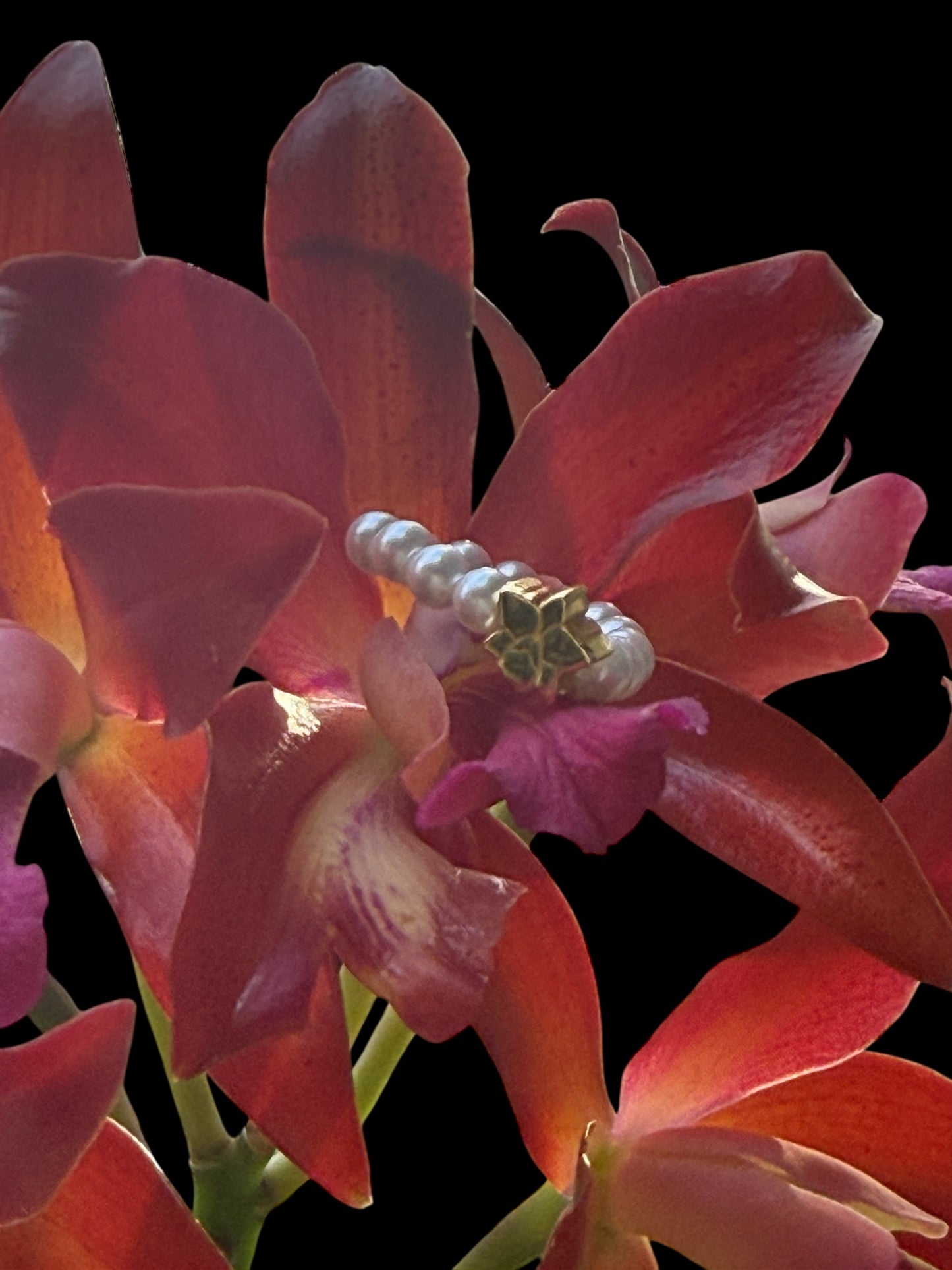 Pearl Orchid Ring: Cattleya Stackable Ring