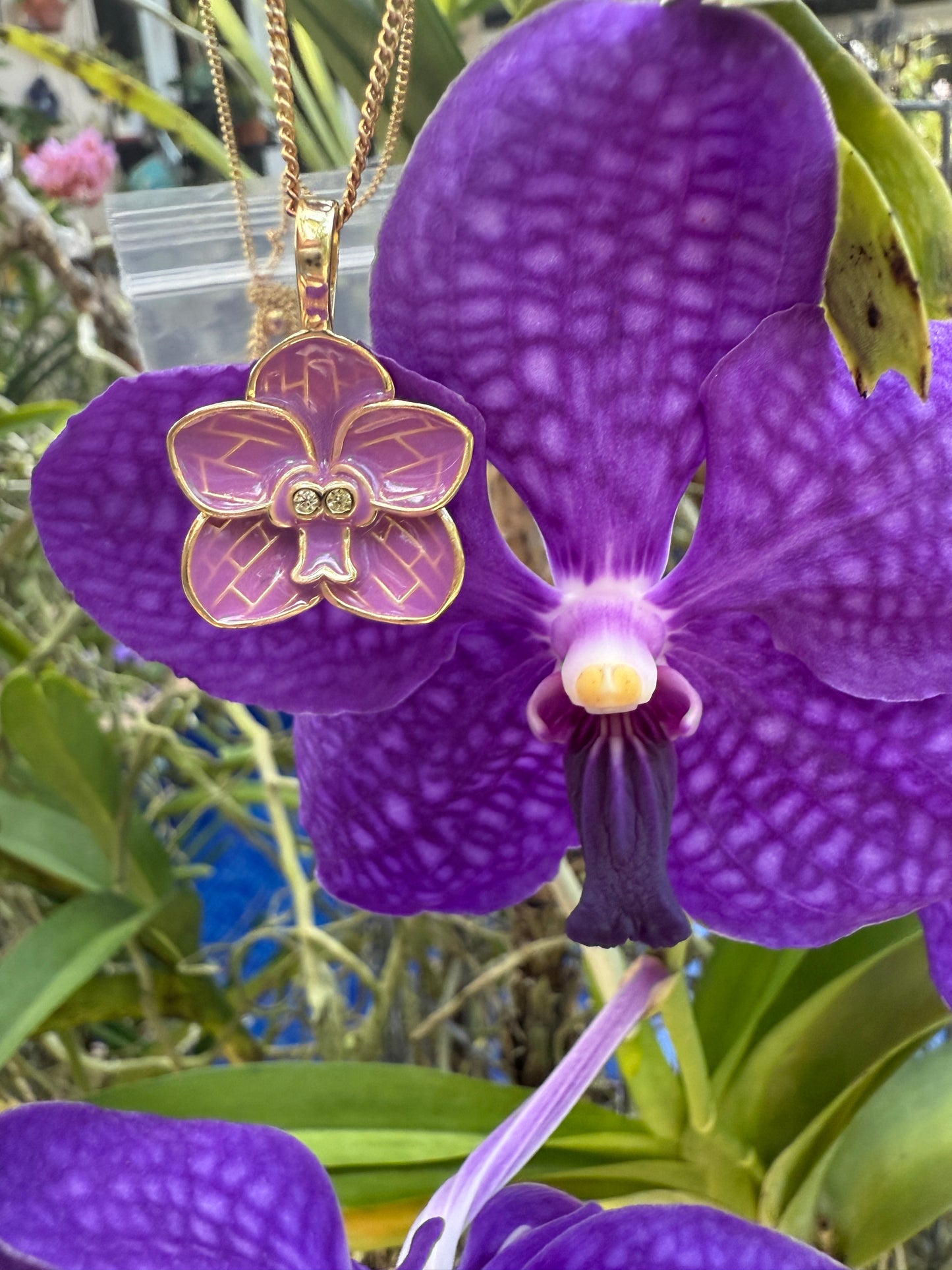 Vanda Bloomers Collection: Blue or Purple Orchid Vanda Flower Jewelry