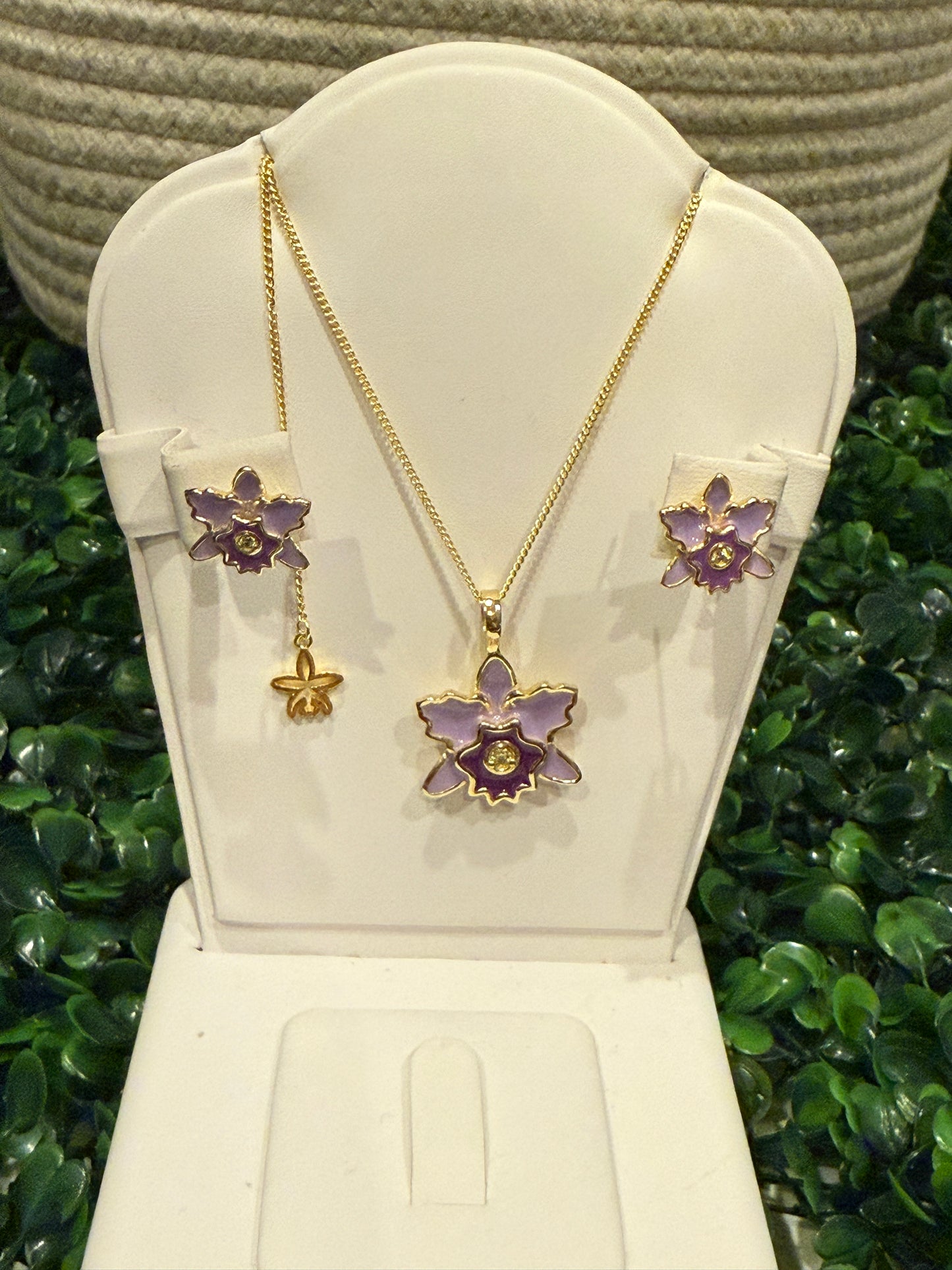 Rhyncholaeliocattleya (RLC) Collection: Purple Lavendar Cattleya Orchid Set - Orchidique