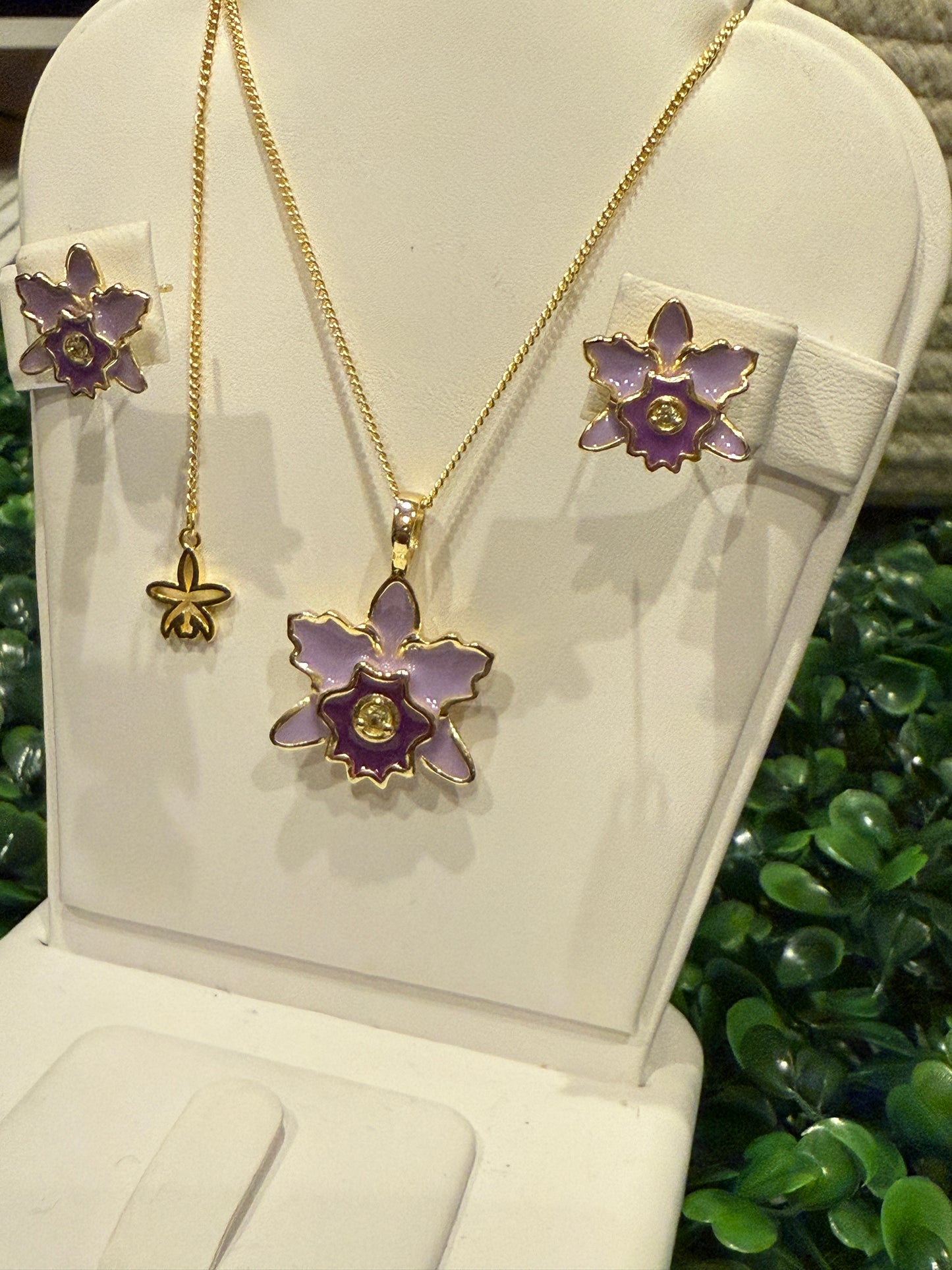 Rhyncholaeliocattleya (RLC) Collection: Purple Lavendar Cattleya Orchid Set - Orchidique