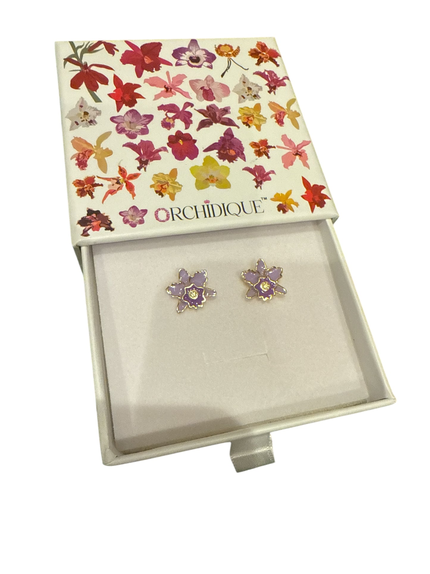 Rhyncholaeliocattleya (RLC) Collection: Purple Lavendar Cattleya Orchid Set - Orchidique