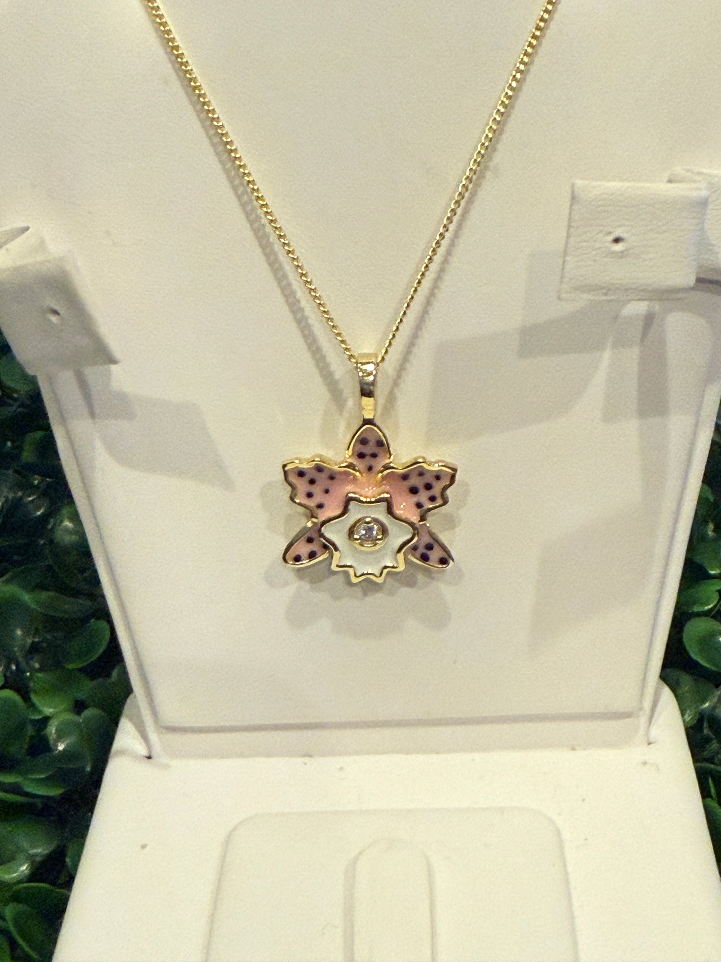 Rhyncholaeliocattleya (RLC) Collection: Pastel Pink Spotted Cattleya Orchid Set