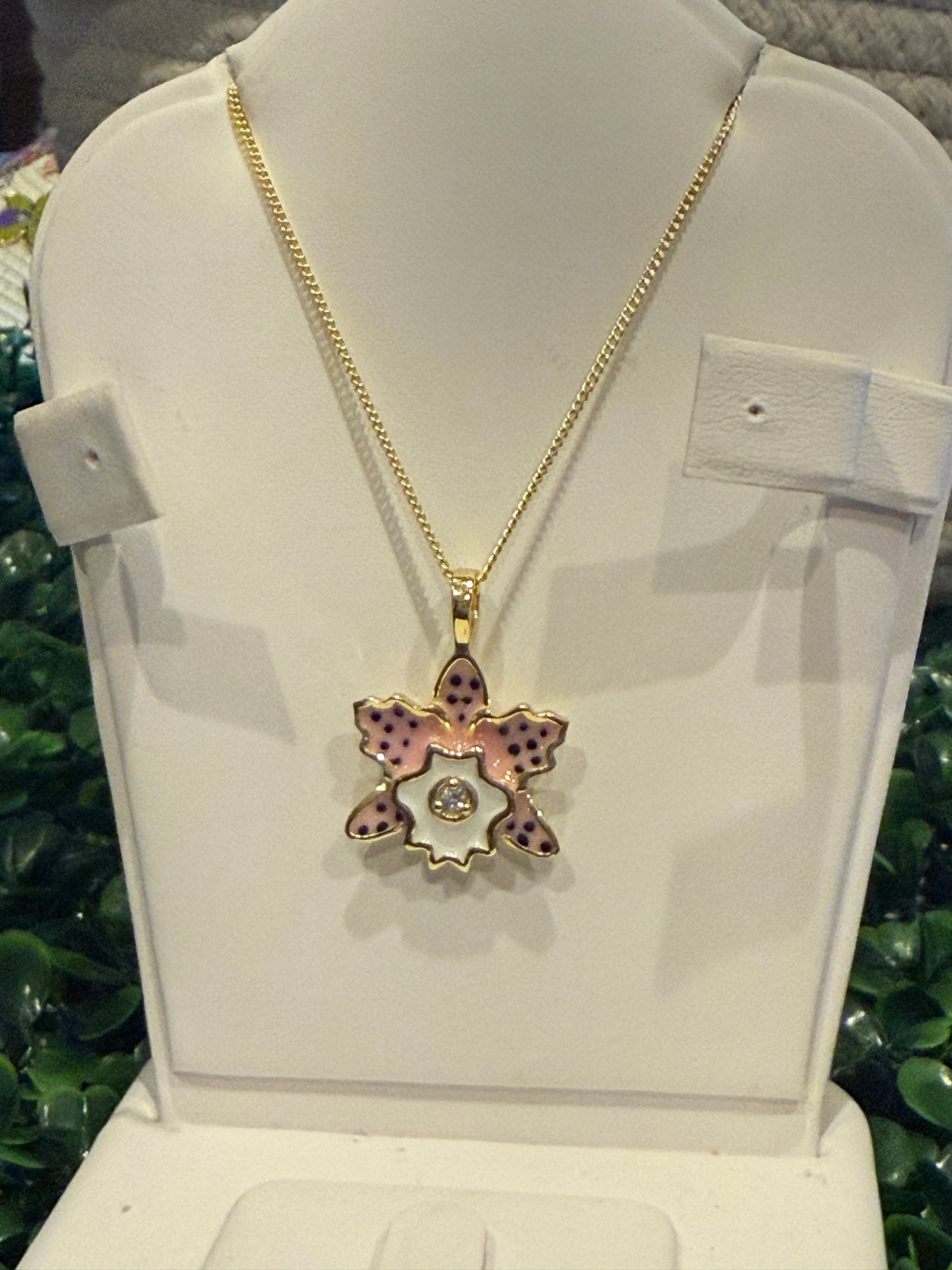 Rhyncholaeliocattleya (RLC) Collection: Pastel Pink Spotted Cattleya Orchid Set