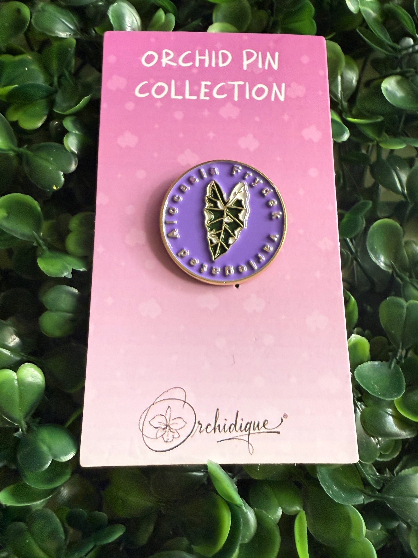 Alocasia Frydek-inspired Enamel Pin