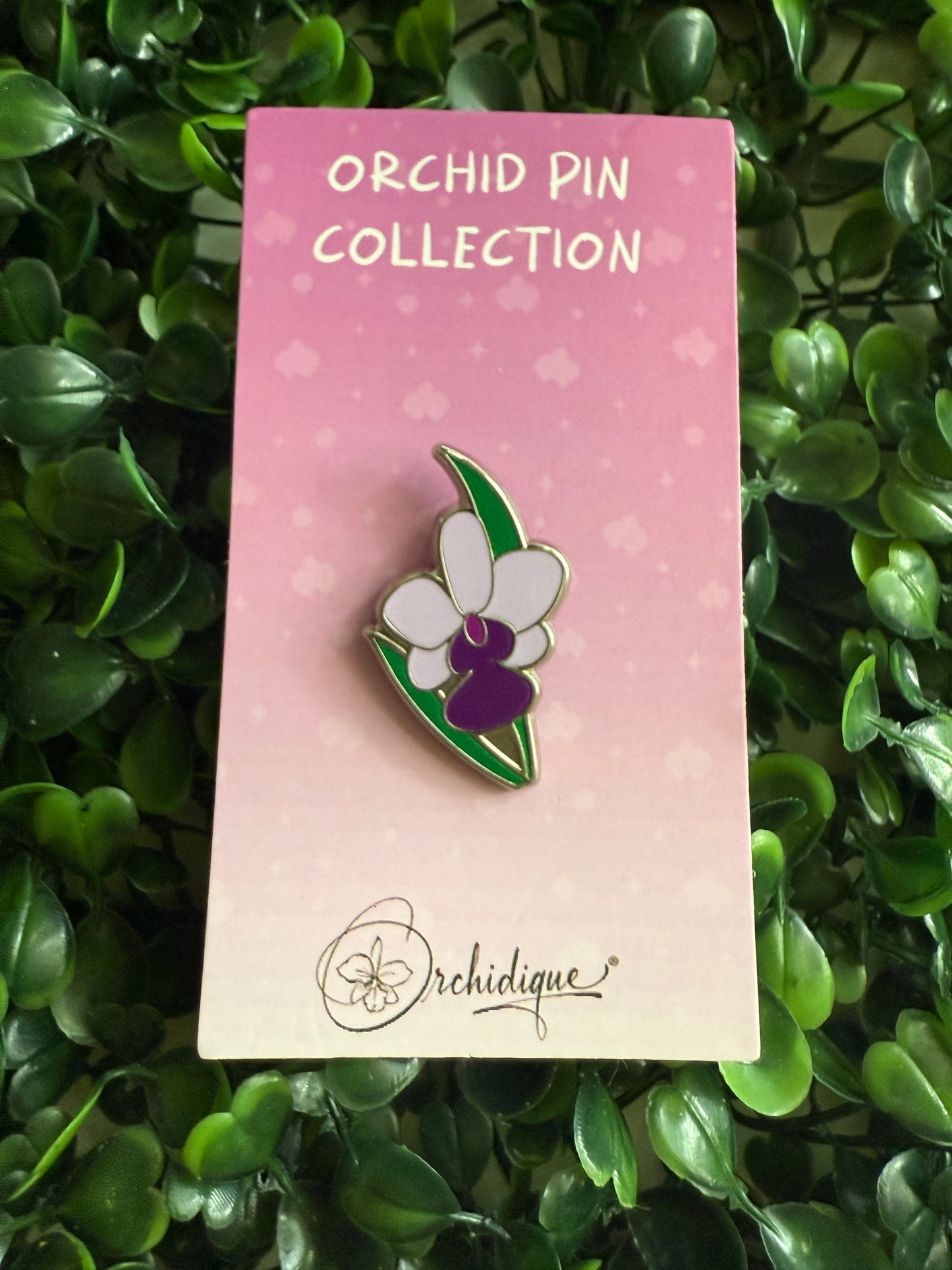 Cattleya Walkeriana Orchid Plant Enamel Pin