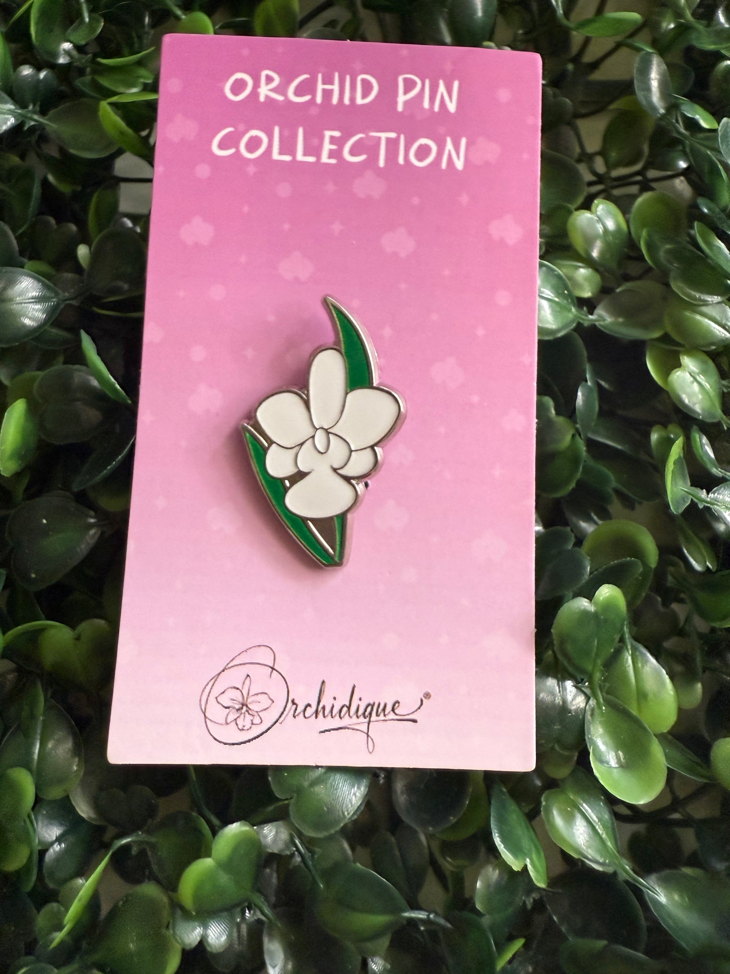 Cattleya Walkeriana Orchid Plant Enamel Pin