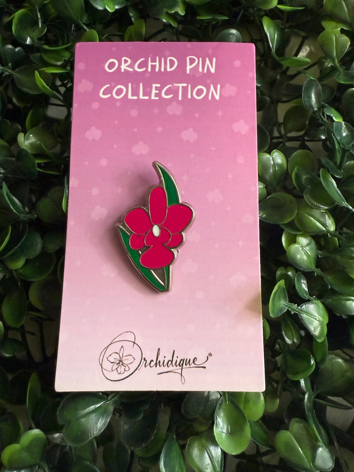 Cattleya Walkeriana Orchid Plant Enamel Pin