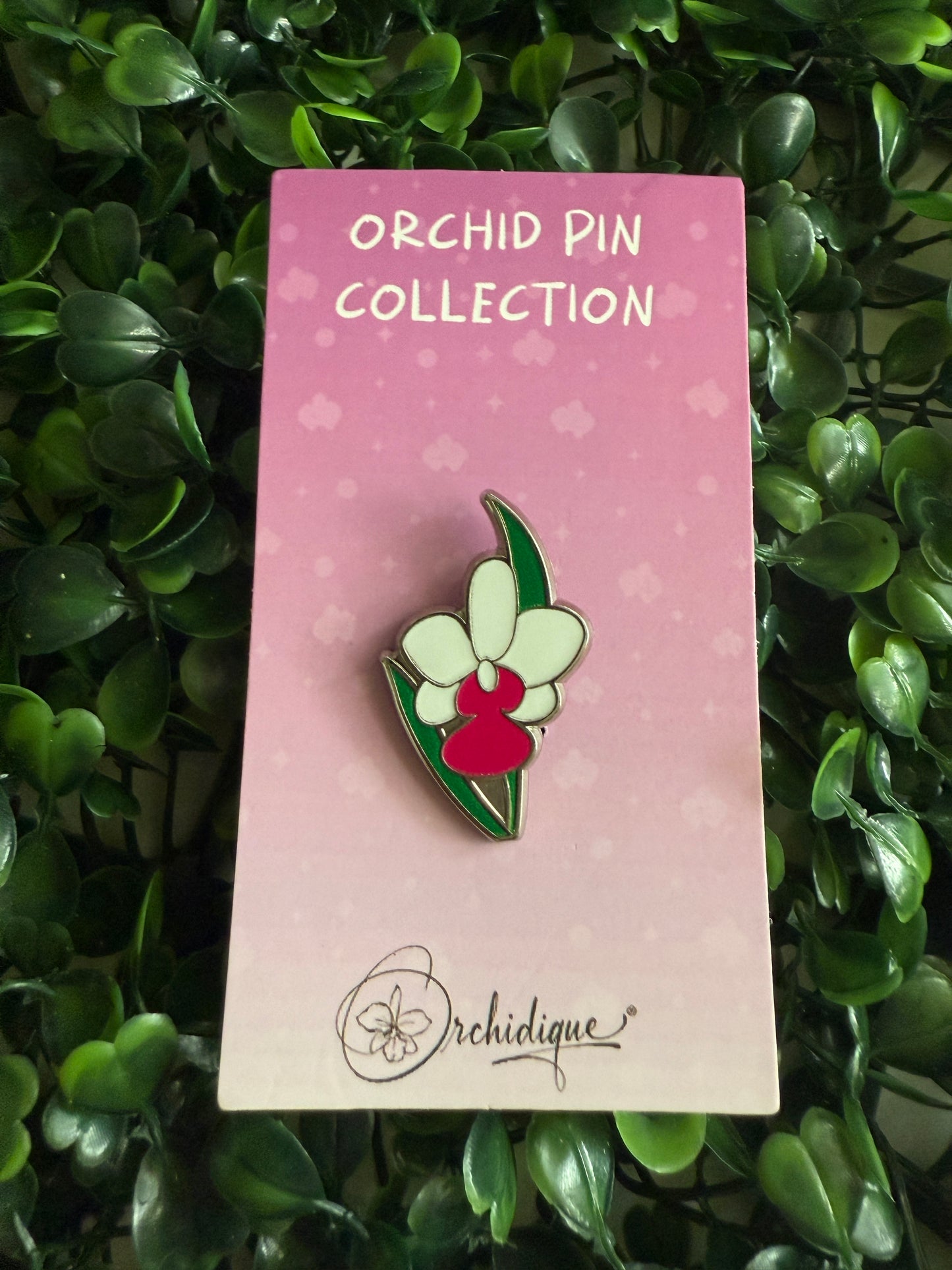 Cattleya Walkeriana Orchid Plant Enamel Pin