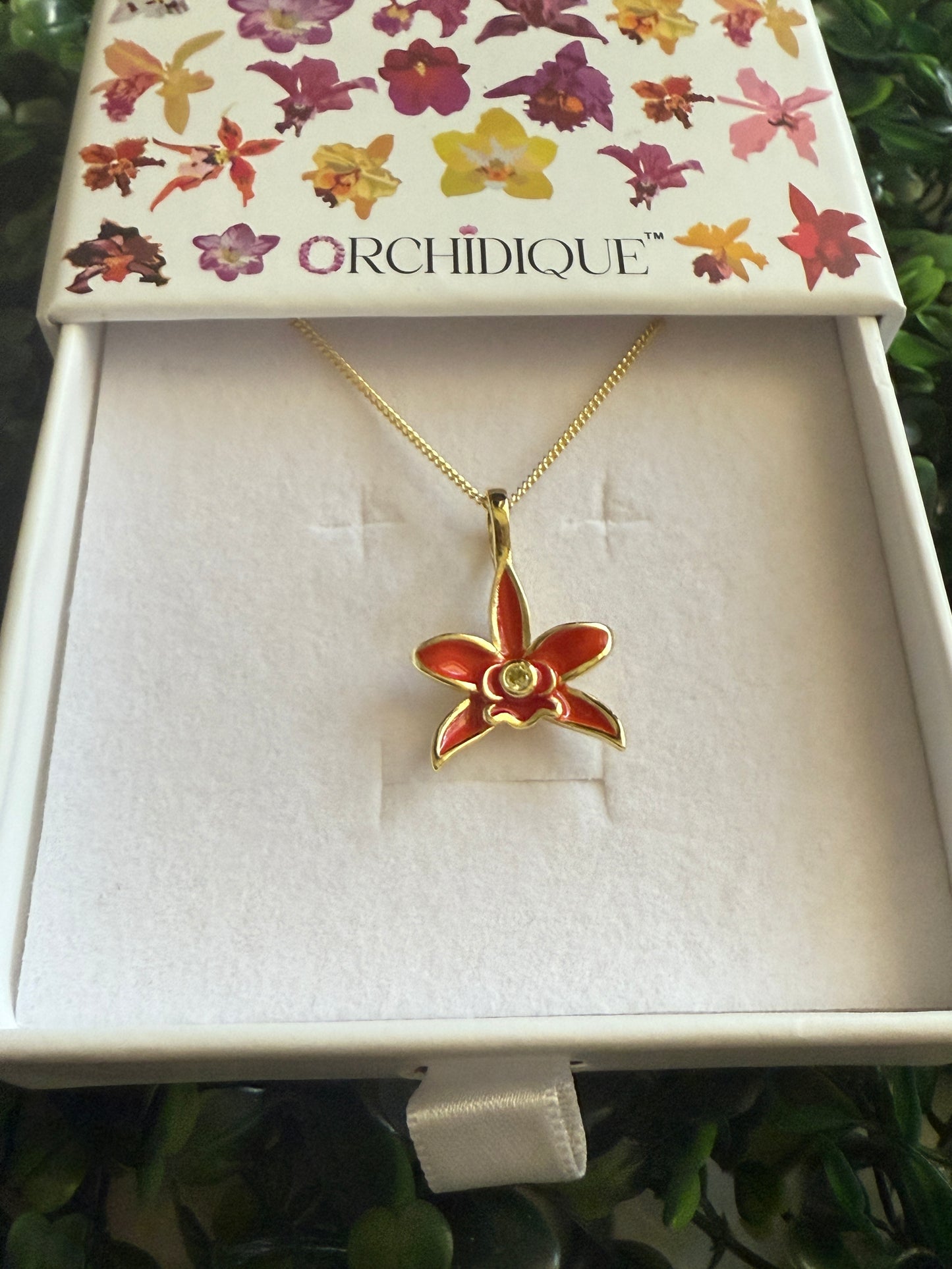 Catt Chocolate Drop Inspired Orchid Jewelry