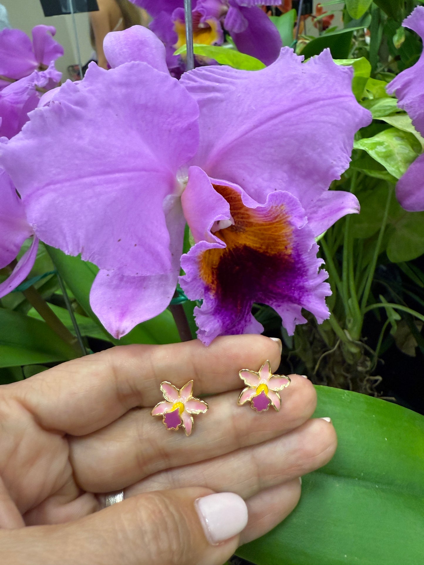 La Colombiana Inspired Collection: Cattleya TrianaePink Sian Orchid Jewelry Set