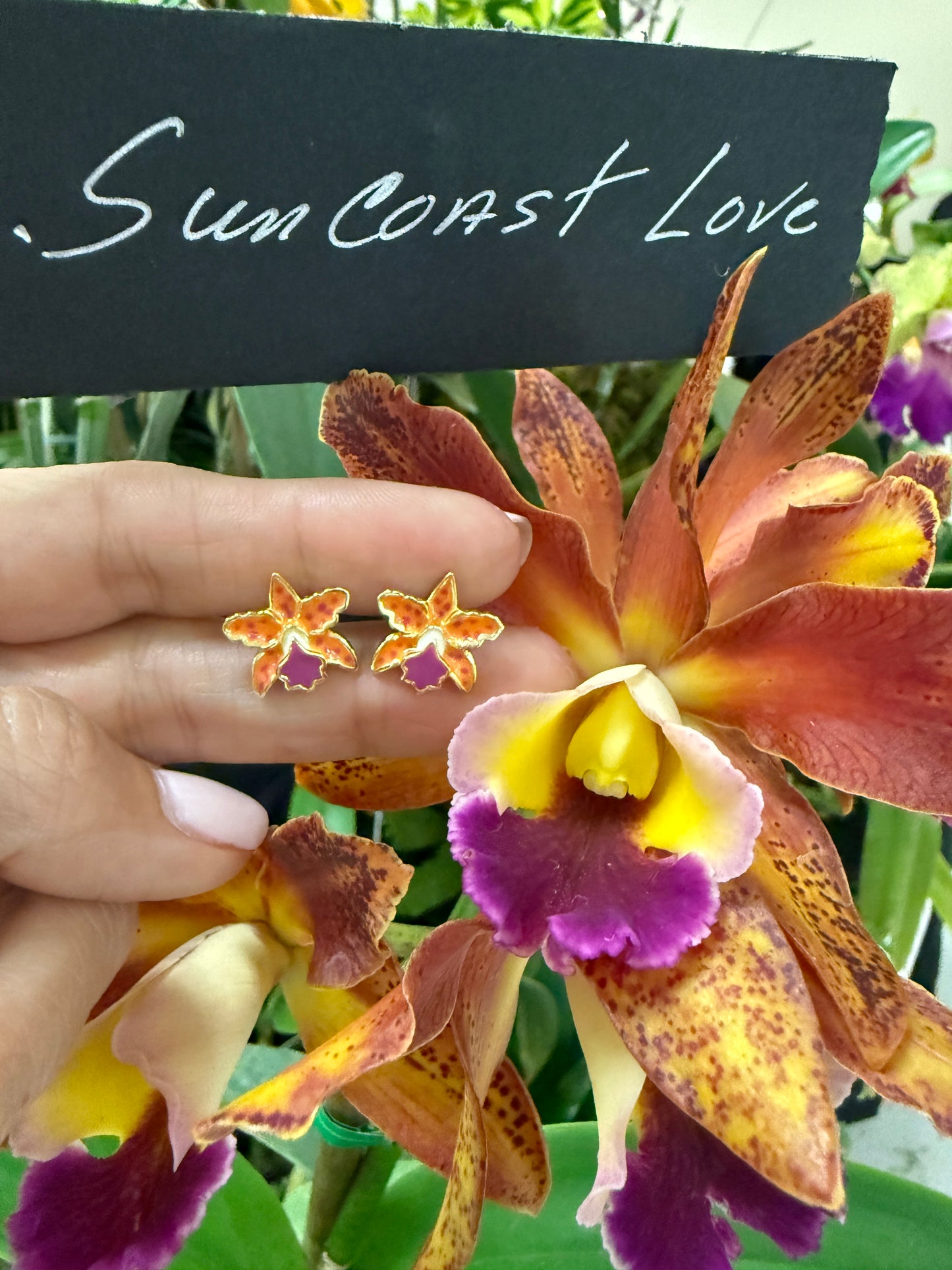 La Colombiana Collection: Rhynchomyrmeleya SunCoast Love Orchid Jewelry Set