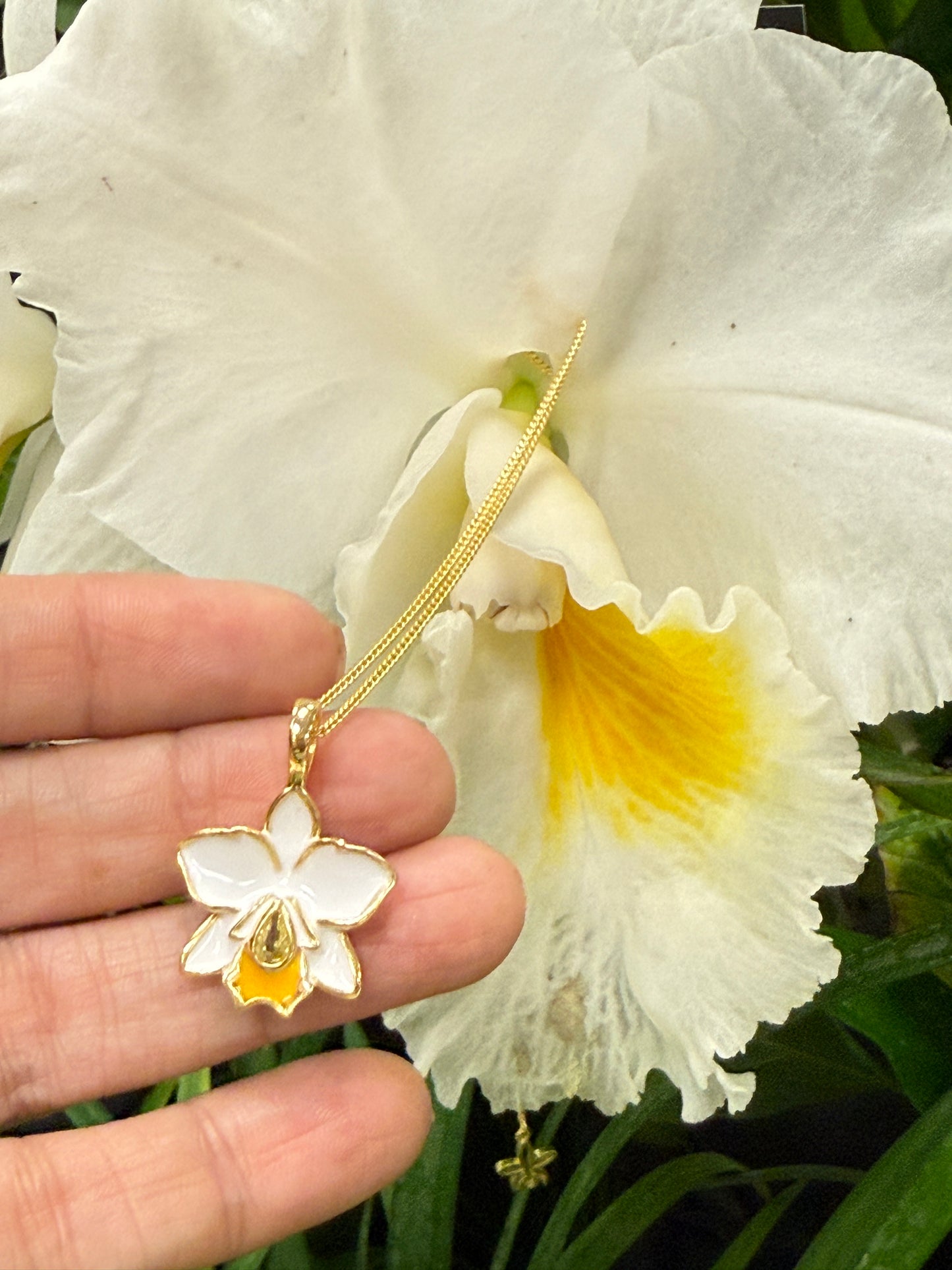 The Hawaiian Collection: Brassolaeliocattleya Orchid Earrings • White Orchid Earrings