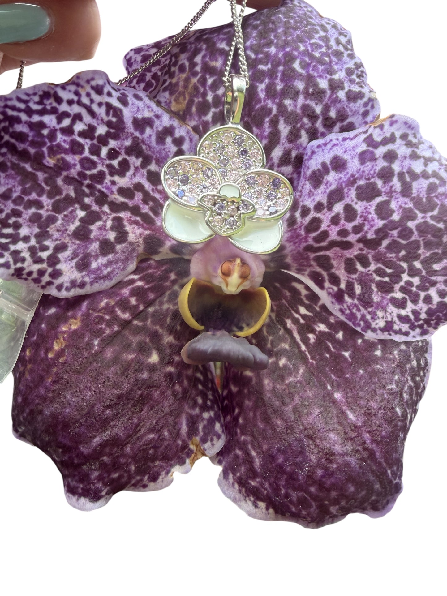 Vanda Glow Collection • Purple and White Orchid Jewelry - Orchidique