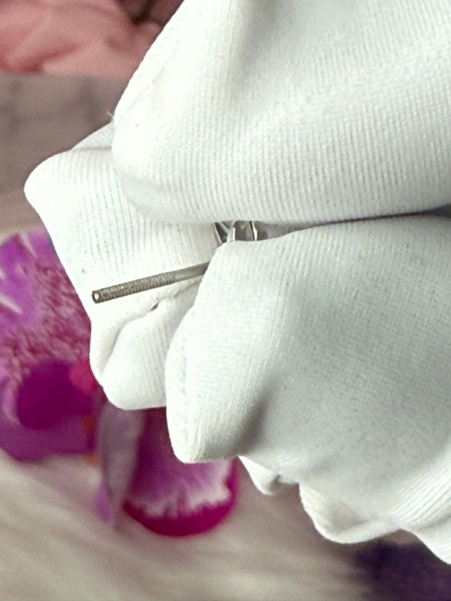 Dainty Orchid Earrings: Cattleya Earrings, Orchid Earrings Studs, Sterling Silver Orchid Post Earrings •