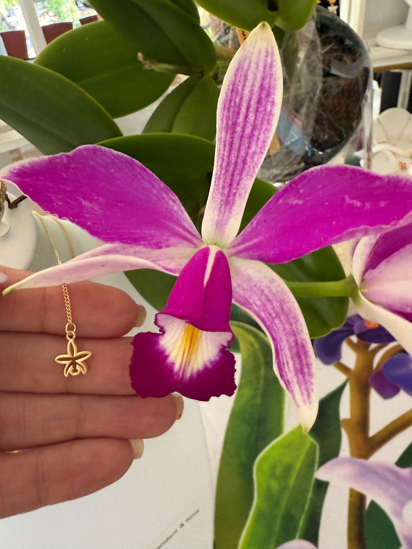 Orchid Potsy Collection: Pink Phalaenopsis Necklace - Orchidique