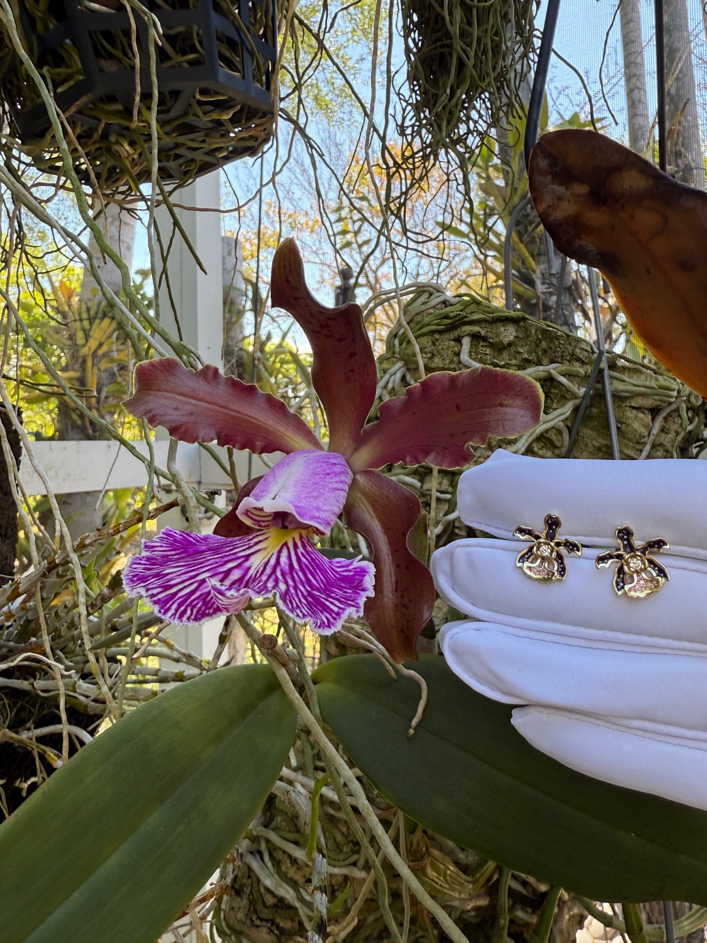 My Martin Collection: Deep Purple Cattleya Orchid Stud Earrings - Orchidique