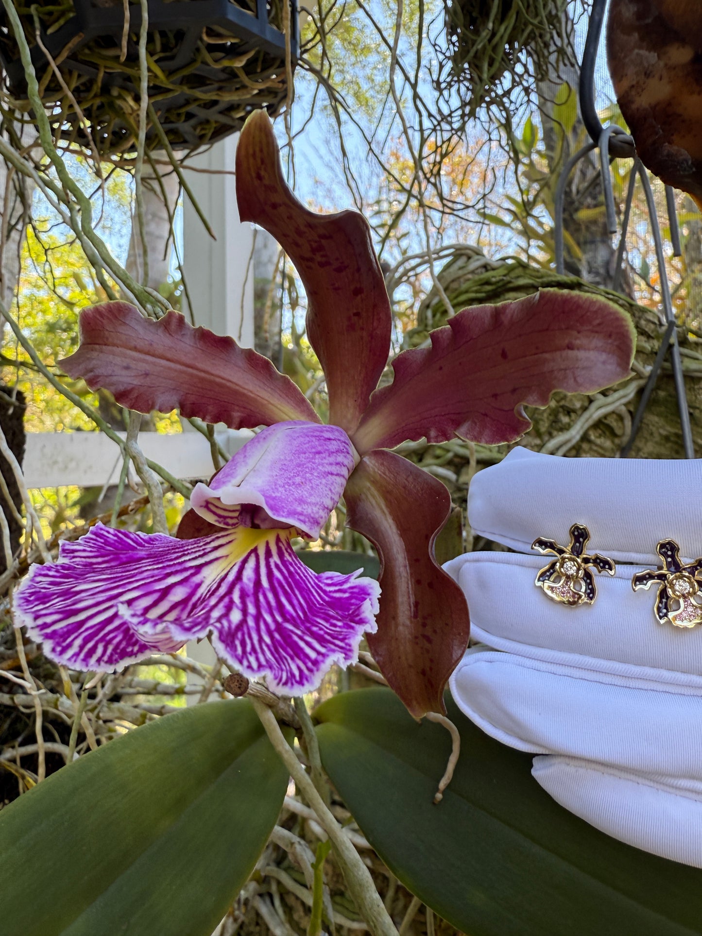 My Martin Collection: Deep Purple Cattleya Orchid Stud Earrings - Orchidique