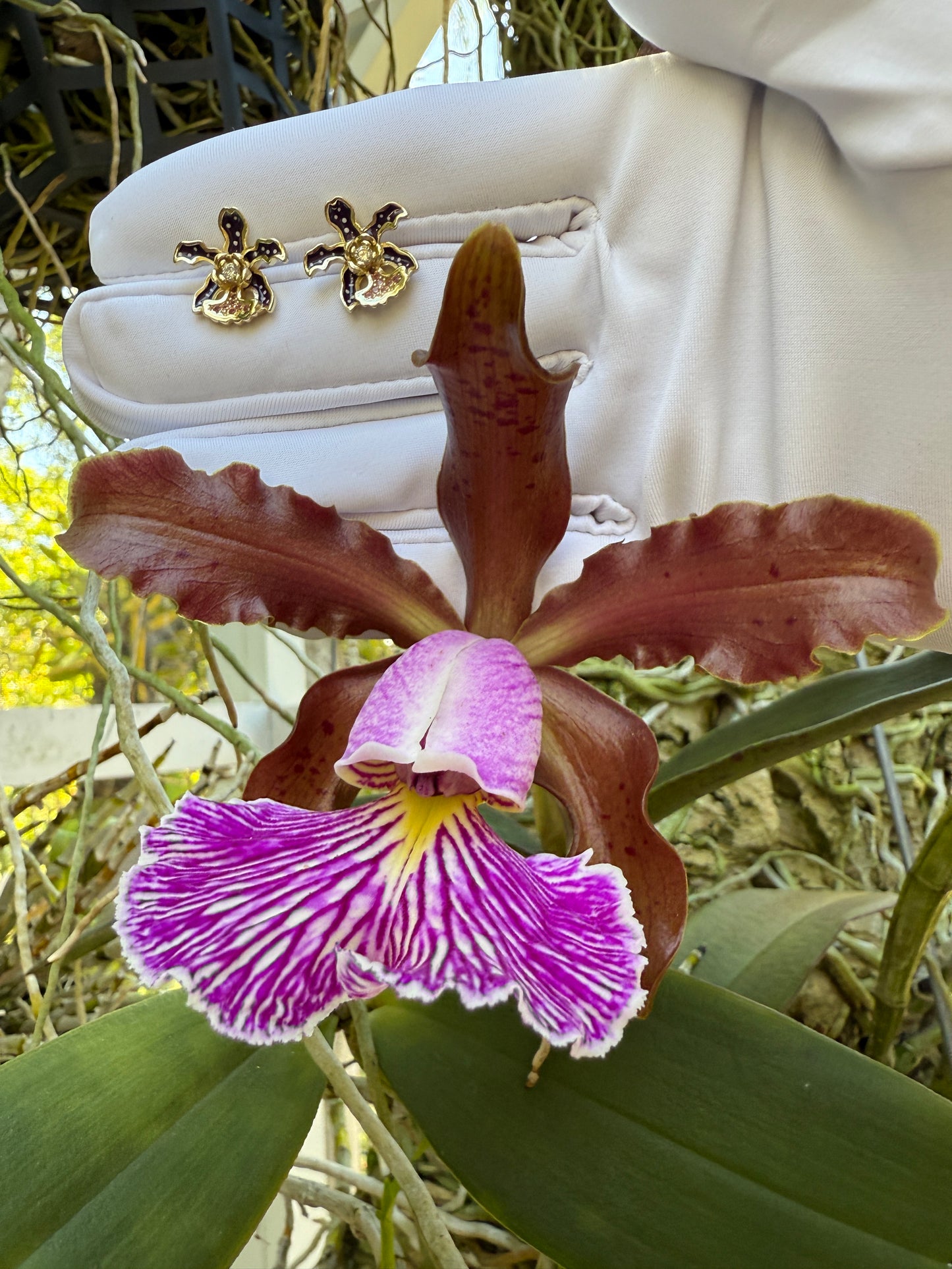 My Martin Collection: Deep Purple Cattleya Orchid Stud Earrings - Orchidique