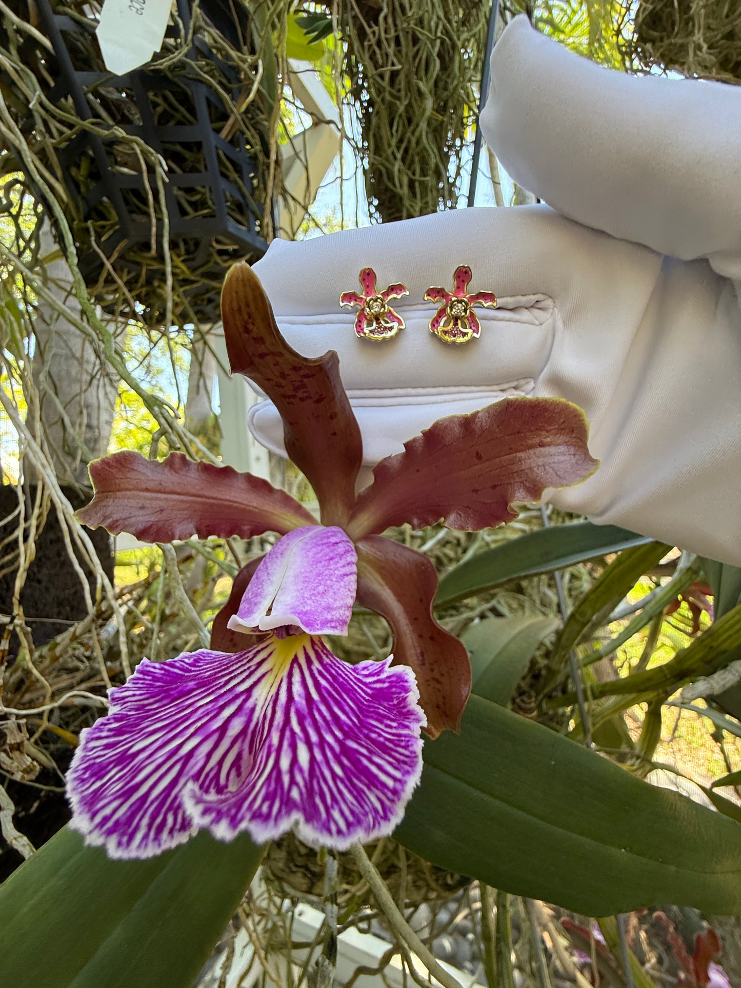My Martin Collection: Pink Spotted Cattleya Orchid Earrings - Orchidique